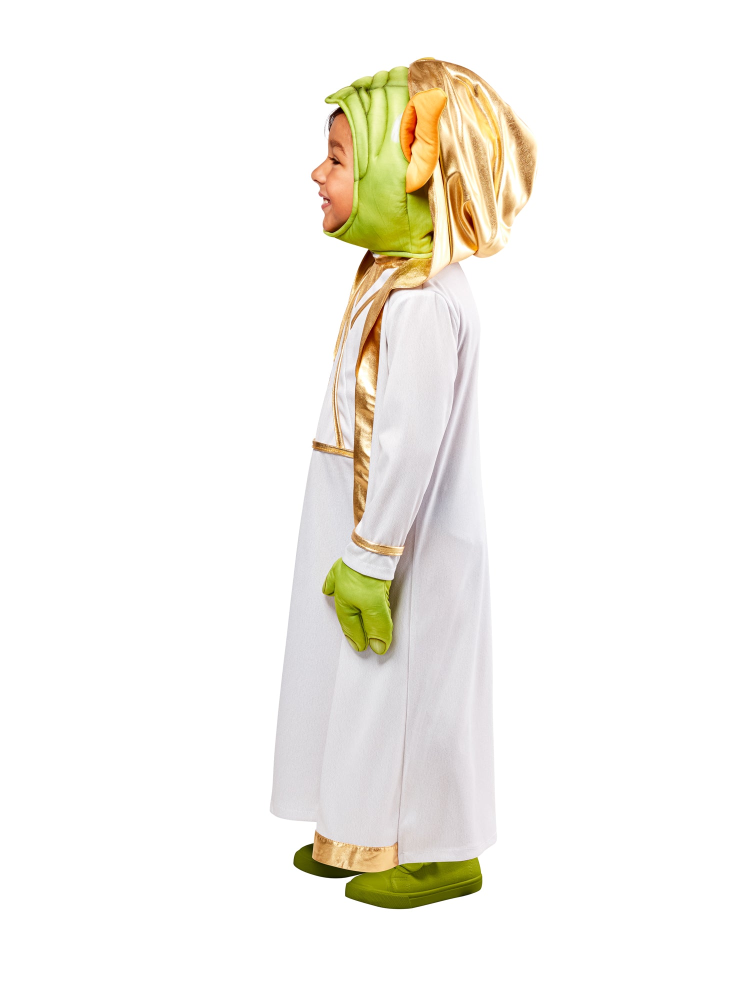 Master Yoda 3