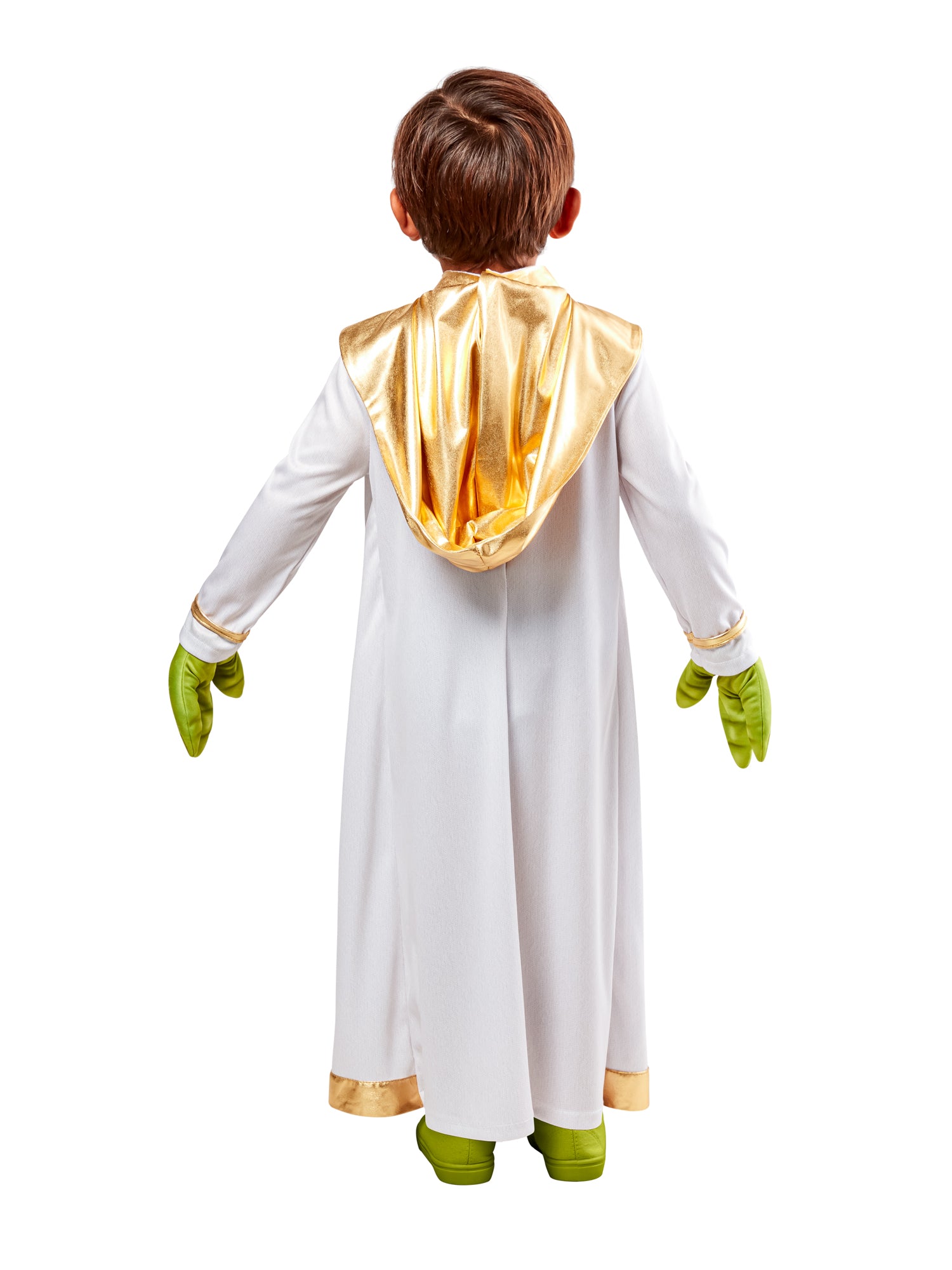 Master Yoda 4