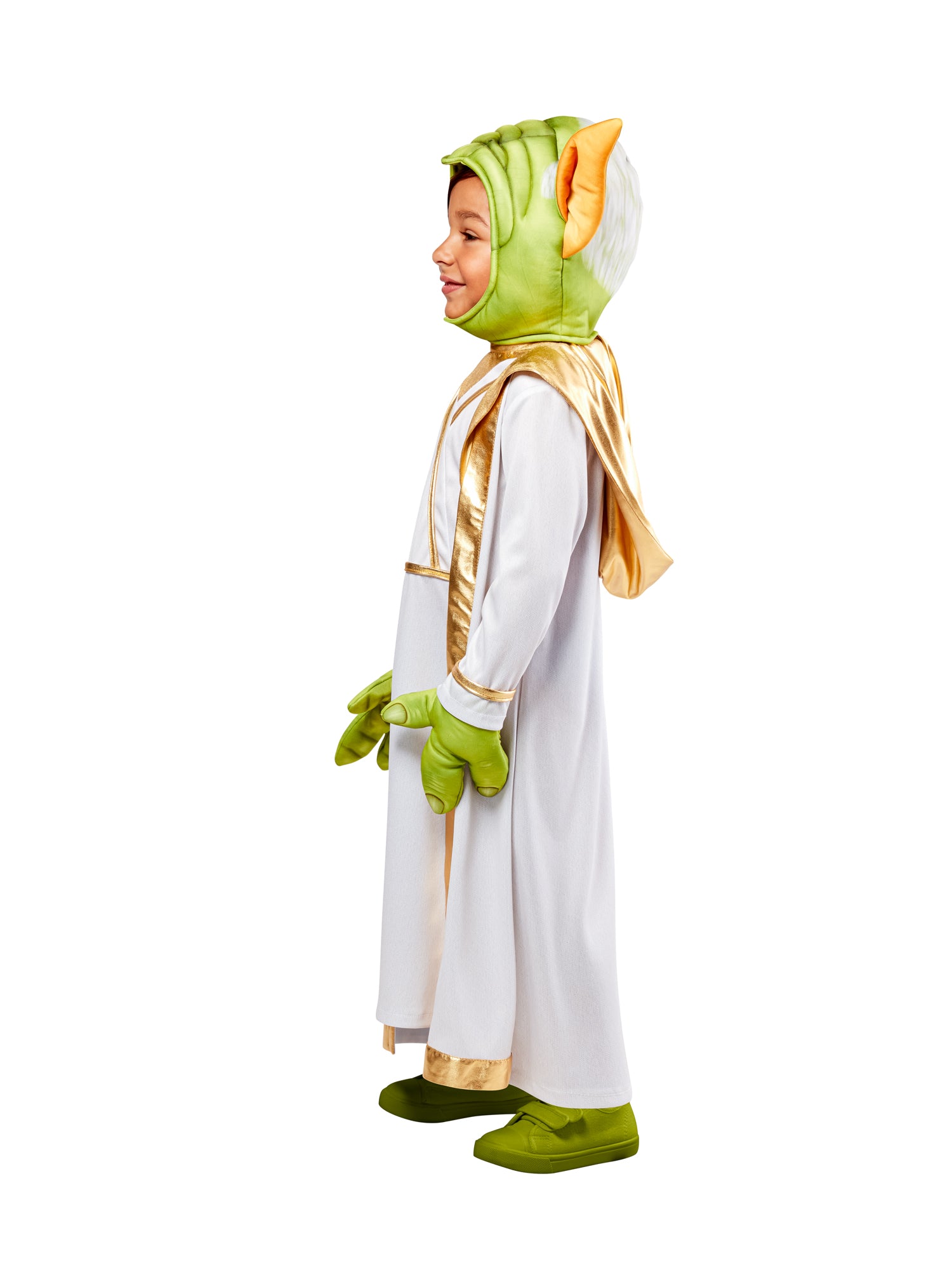 Master Yoda 5