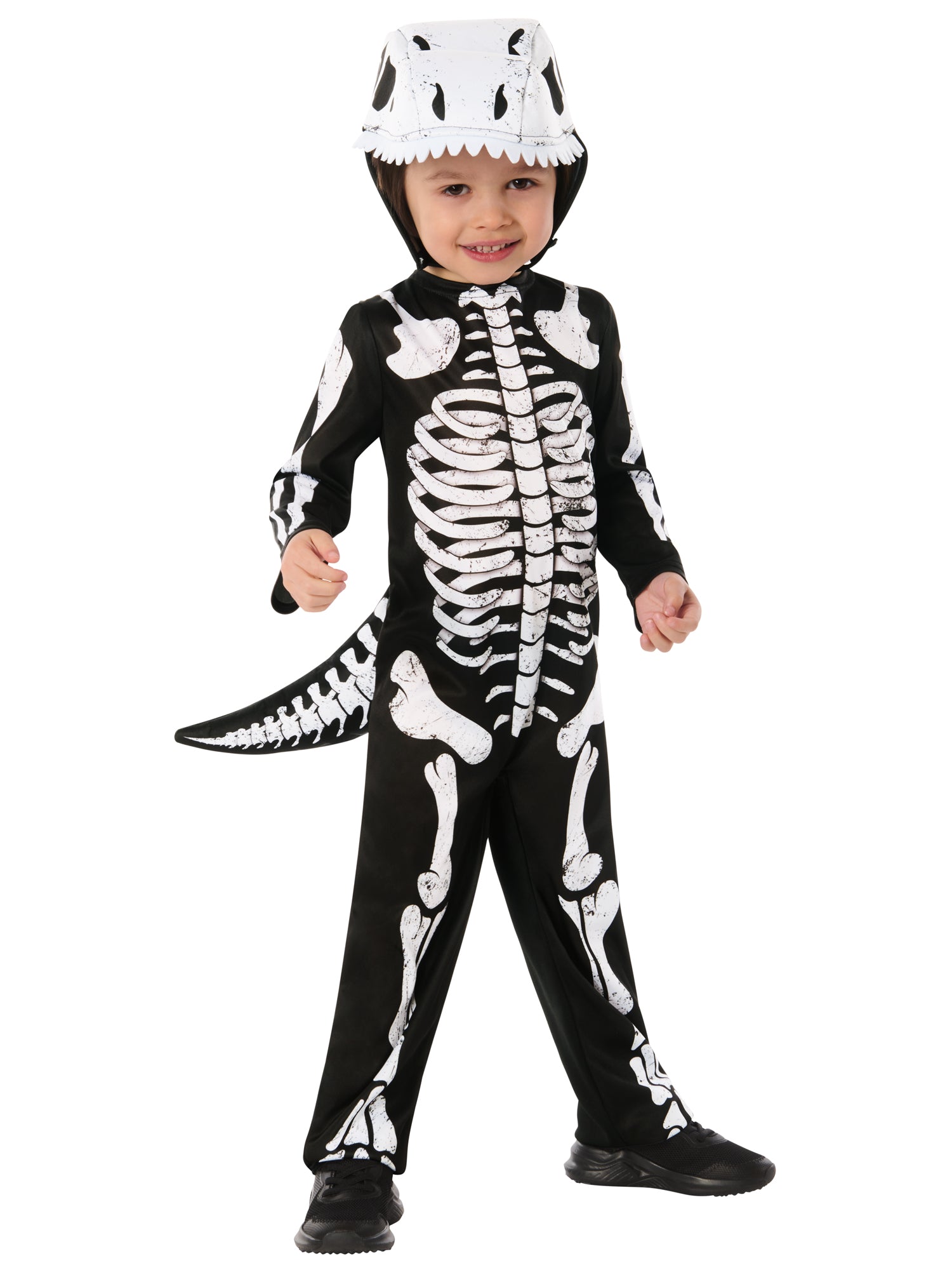 Skeleton Dinosaur 1