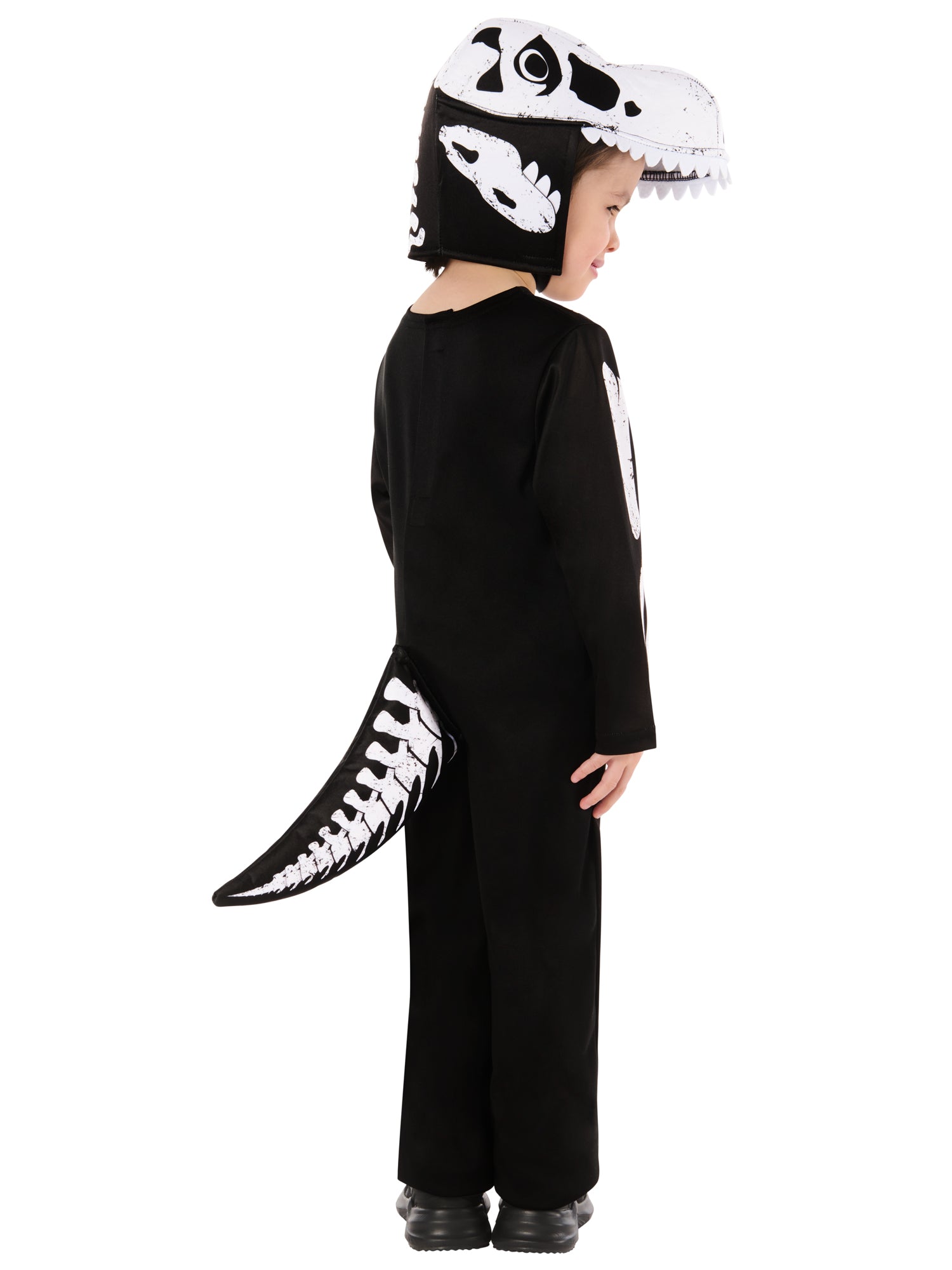 Skeleton Dinosaur 2