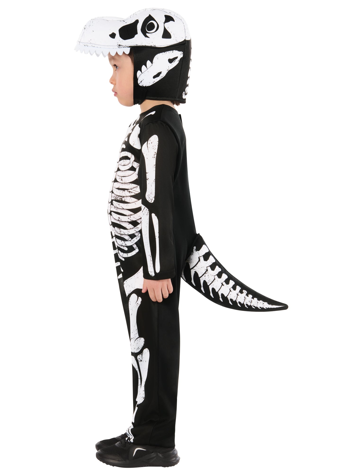 Skeleton Dinosaur 3