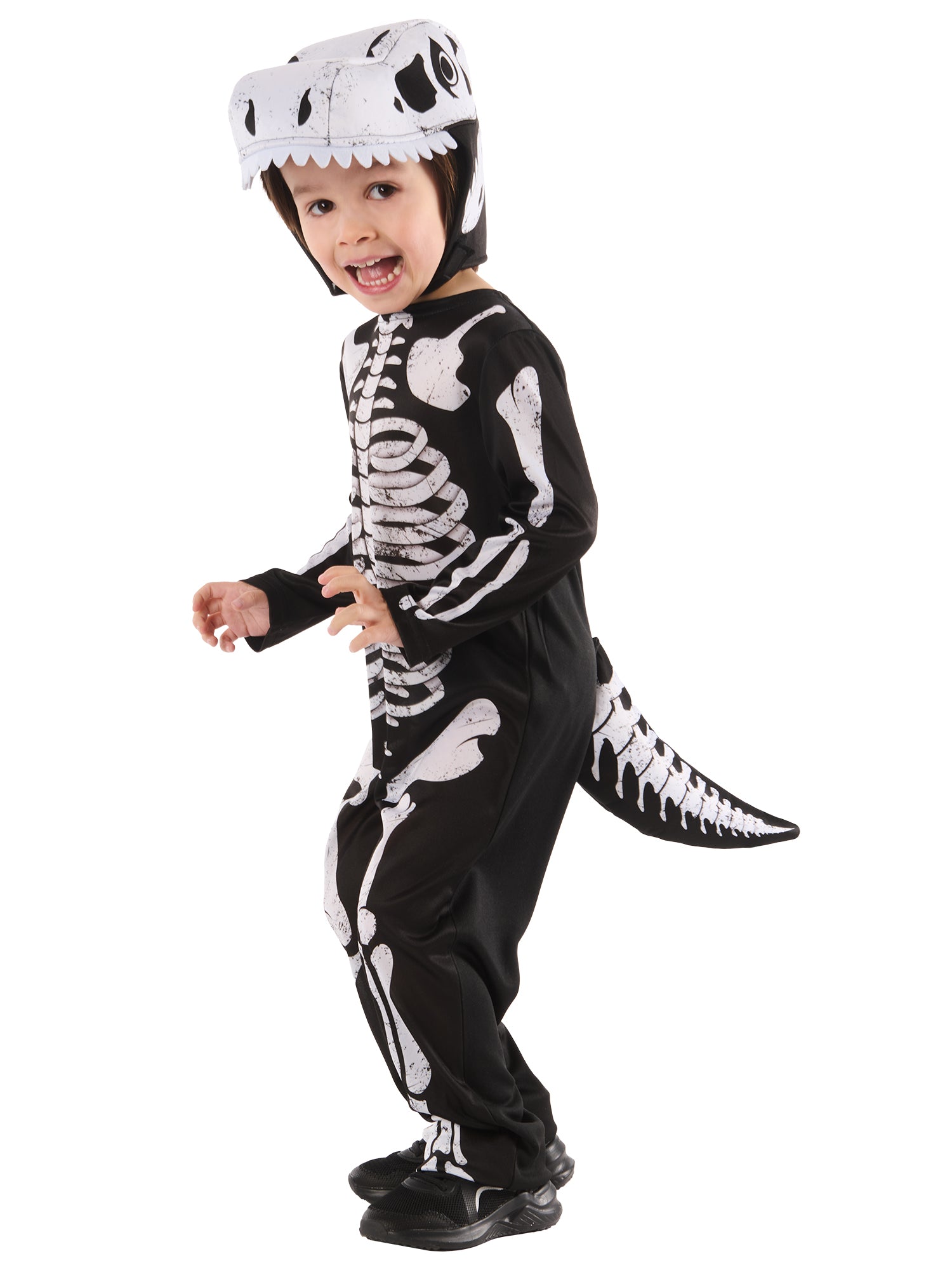 Skeleton Dinosaur 4