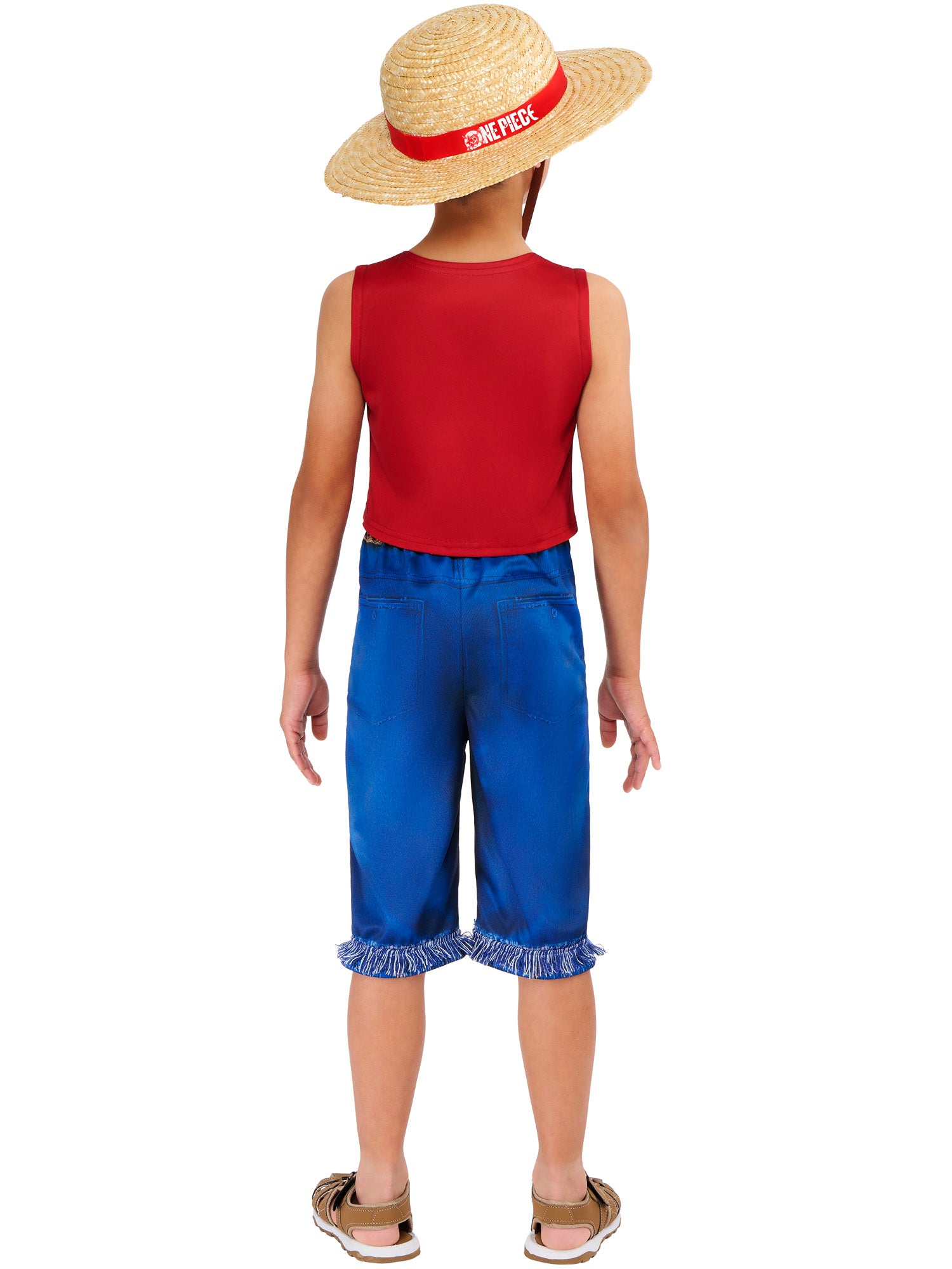 Monkey D. Luffy 2