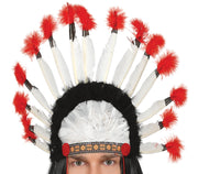 INDIAN FEATHERS PLUME