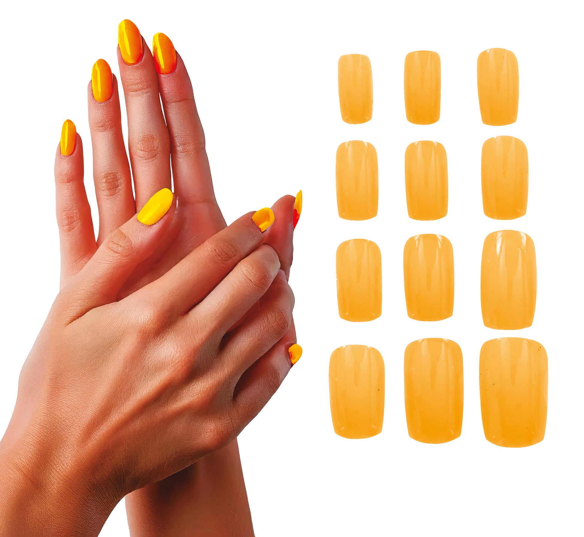 12 NAILS, ADULT