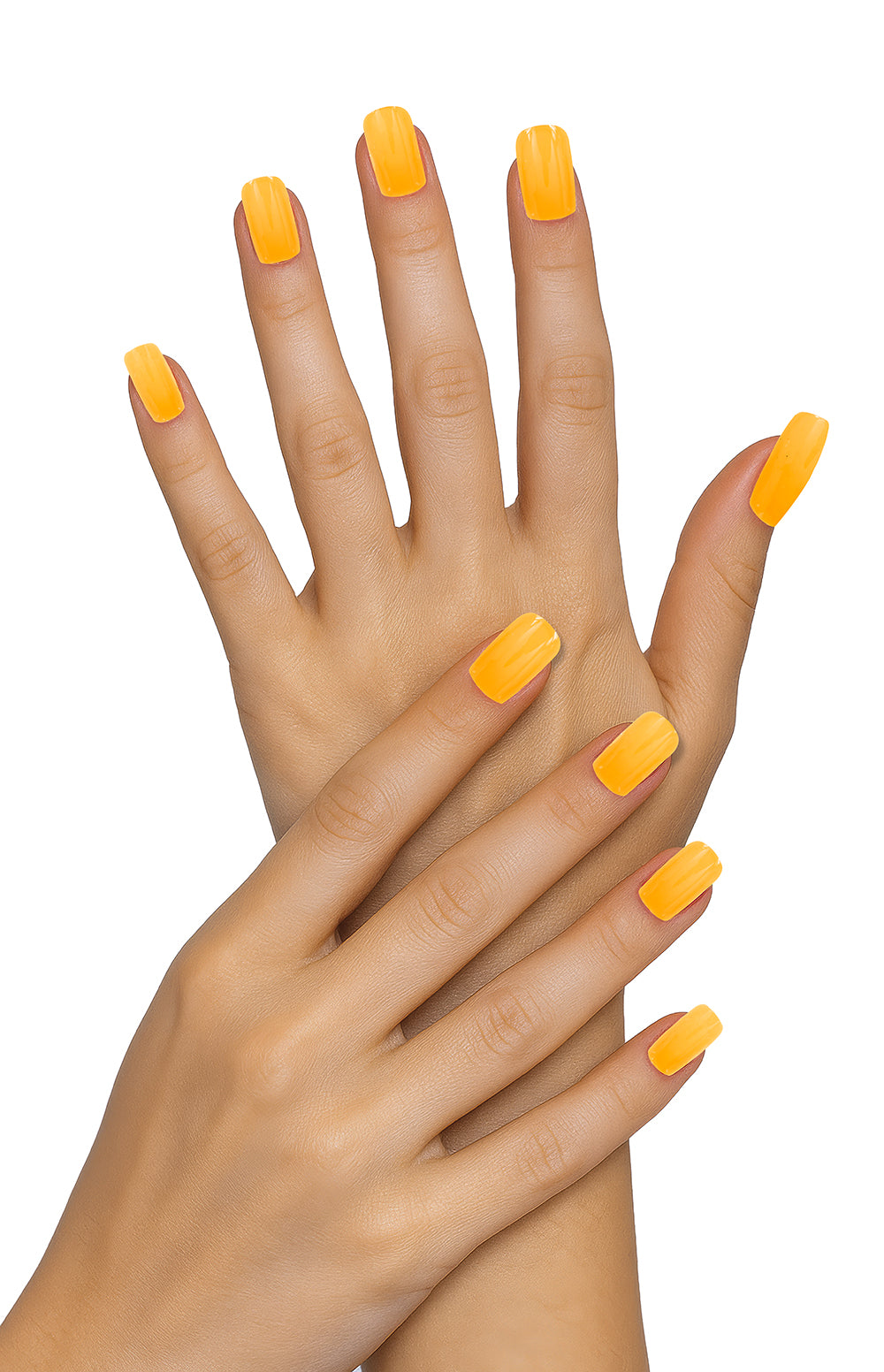 12 NAILS, ADULT
