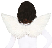 FEATHER WINGS, 70X40 CM