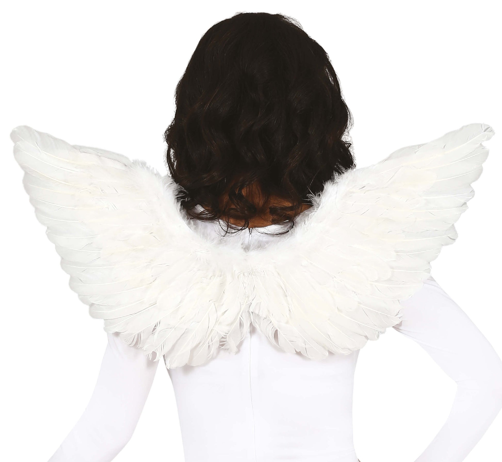 FEATHER WINGS, 70X40 CM
