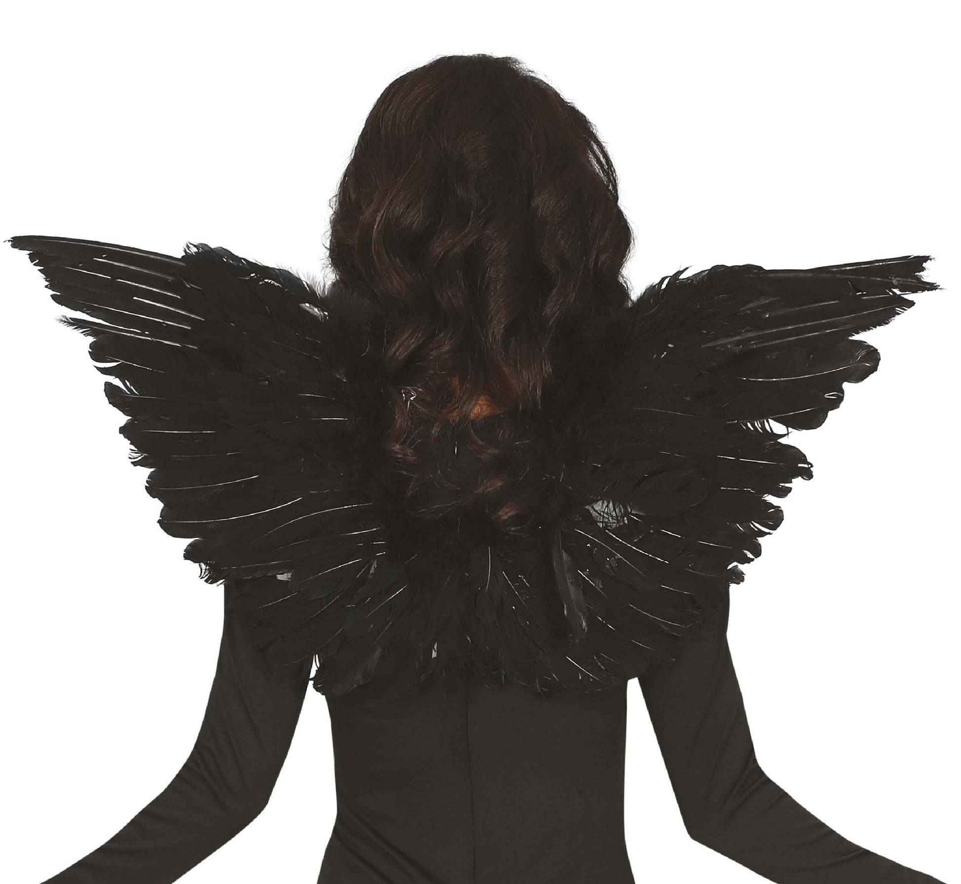 FEATHER WINGS, 70X40 CM