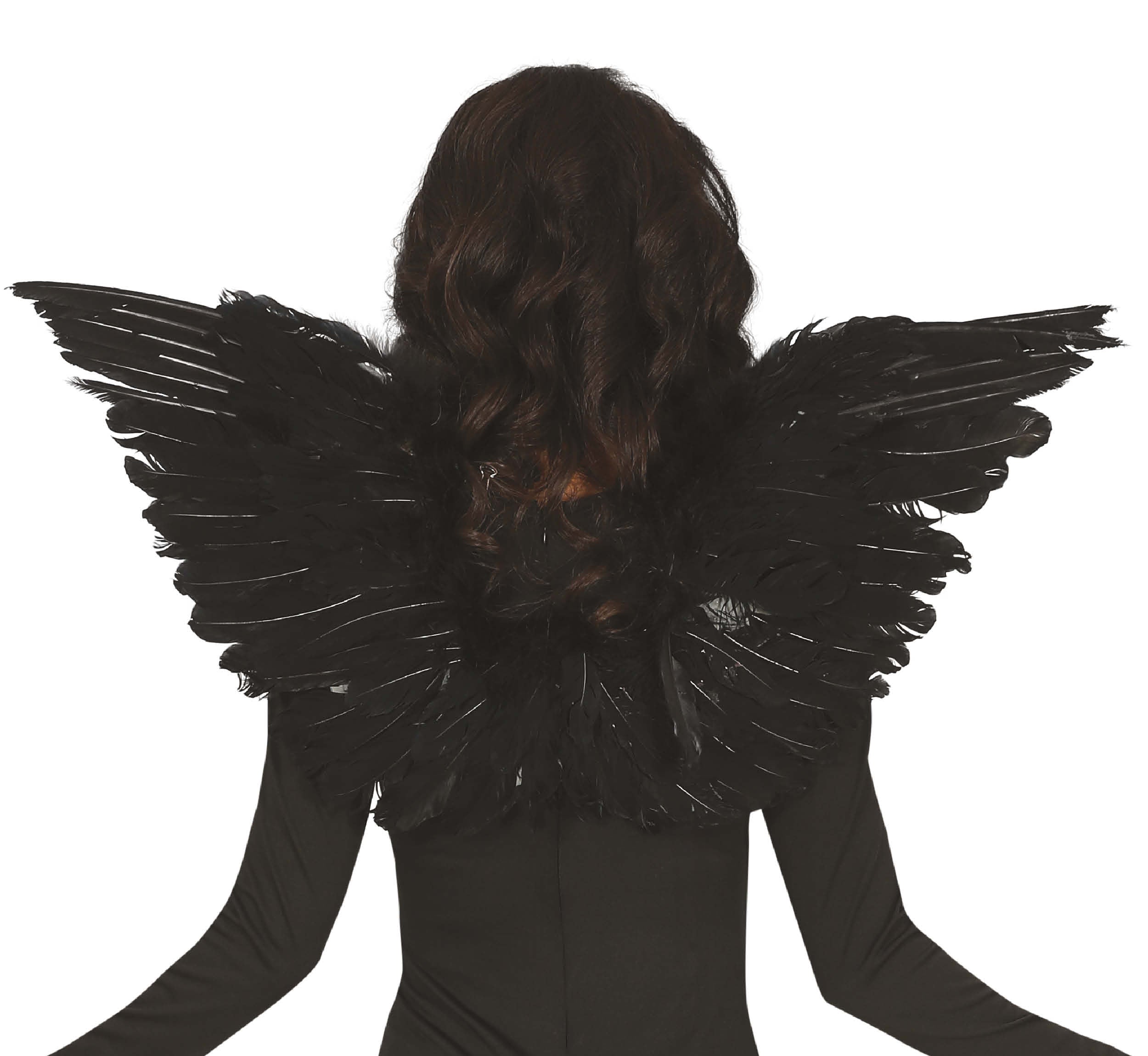 FEATHER WINGS, 70X40 CM