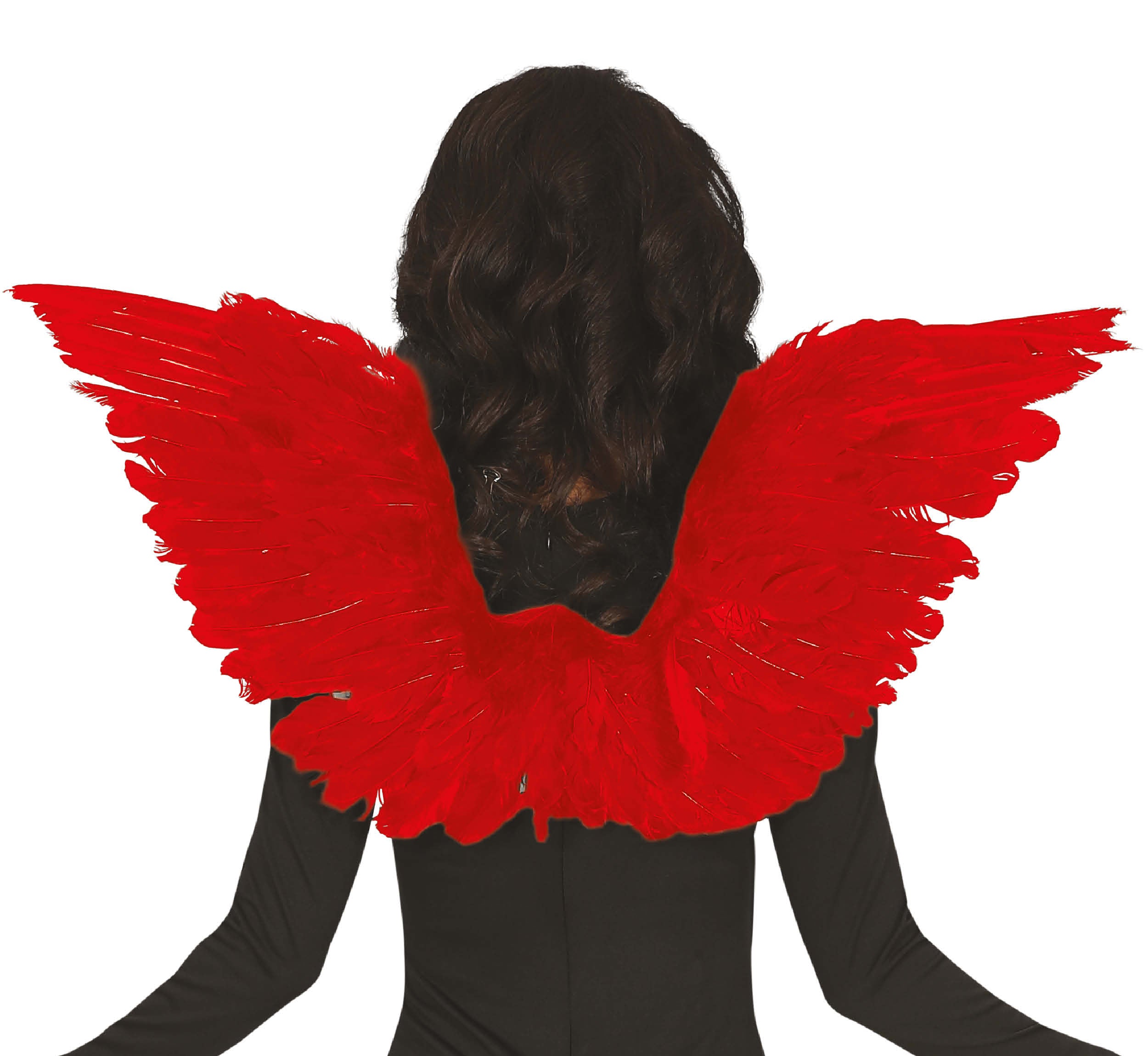 FEATHER WINGS, 70X40 CM