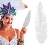 BAG 12 OSTRICH FEATHER BIG 40 CMS