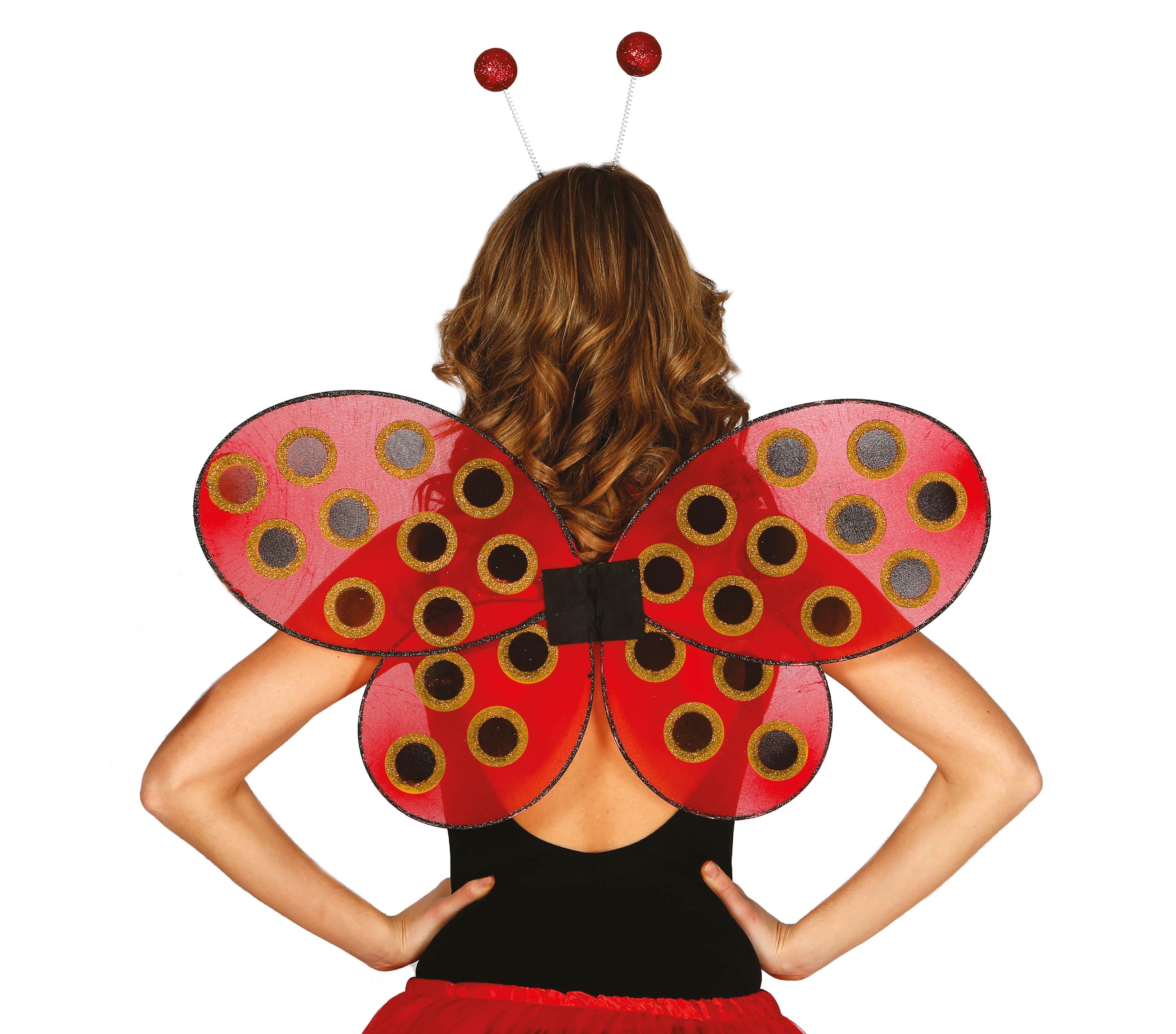 LADYBIRD WINGS, 52X43 CM