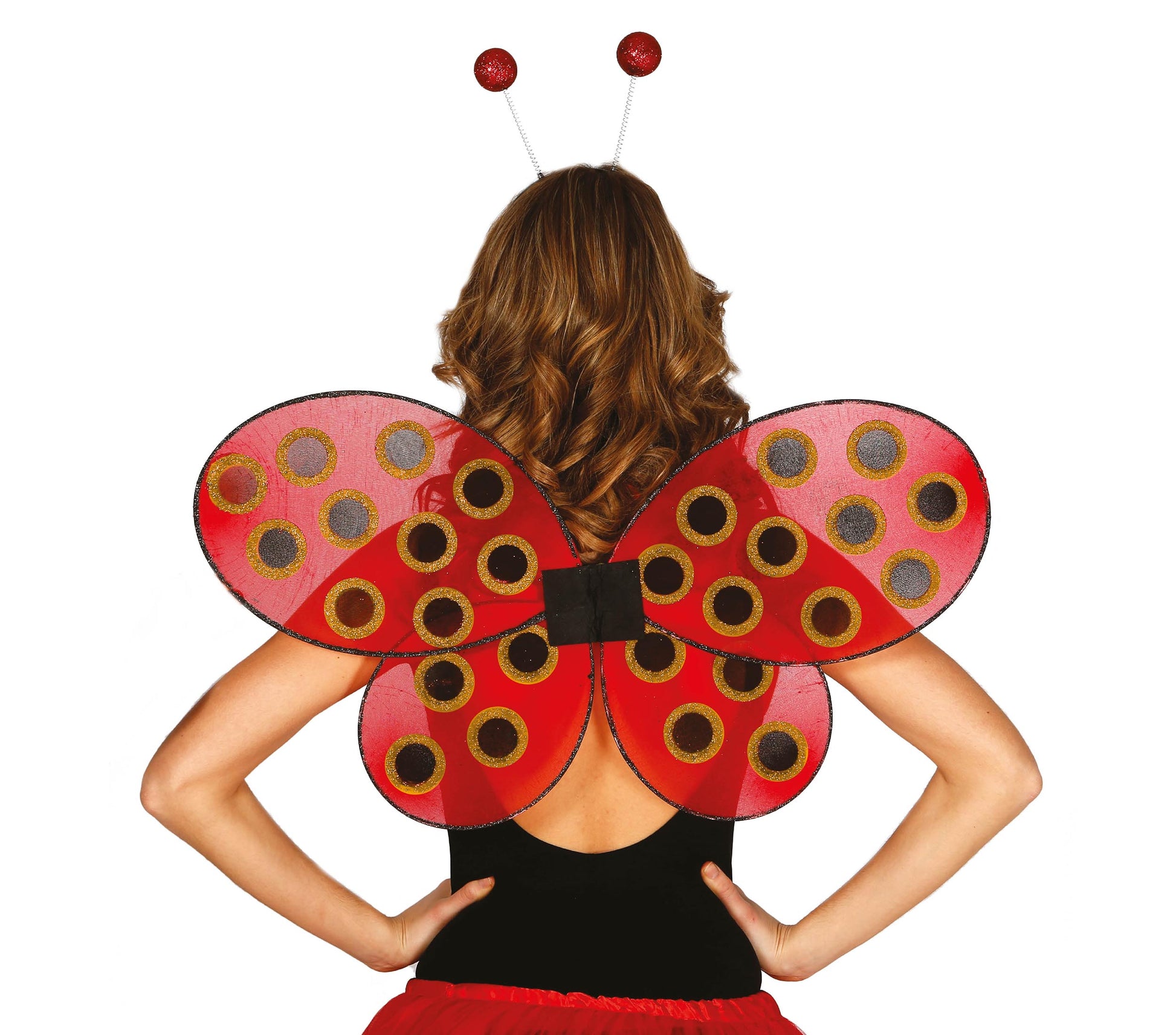 LADYBIRD WINGS, 52X43 CM