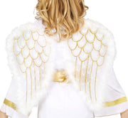 ANGEL WINGS 47X40 CM