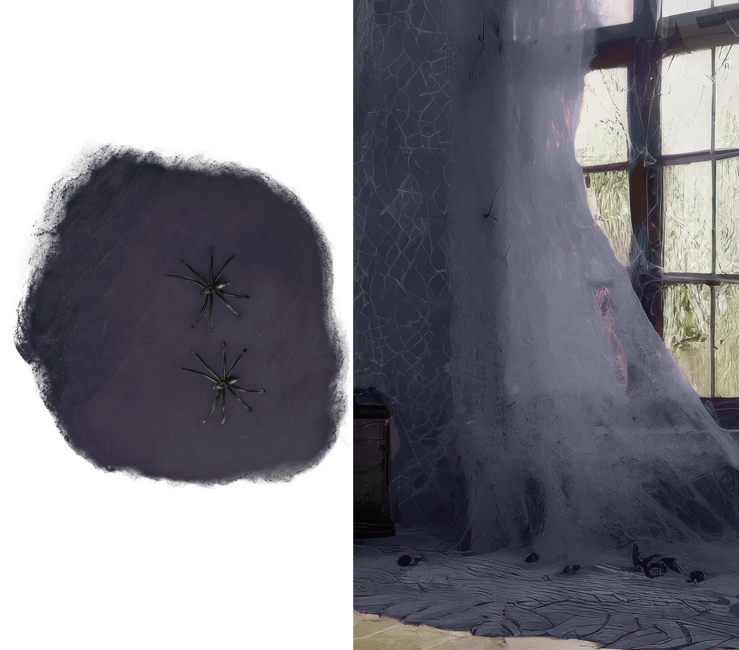 BAG SPIDER WEB 100 GR