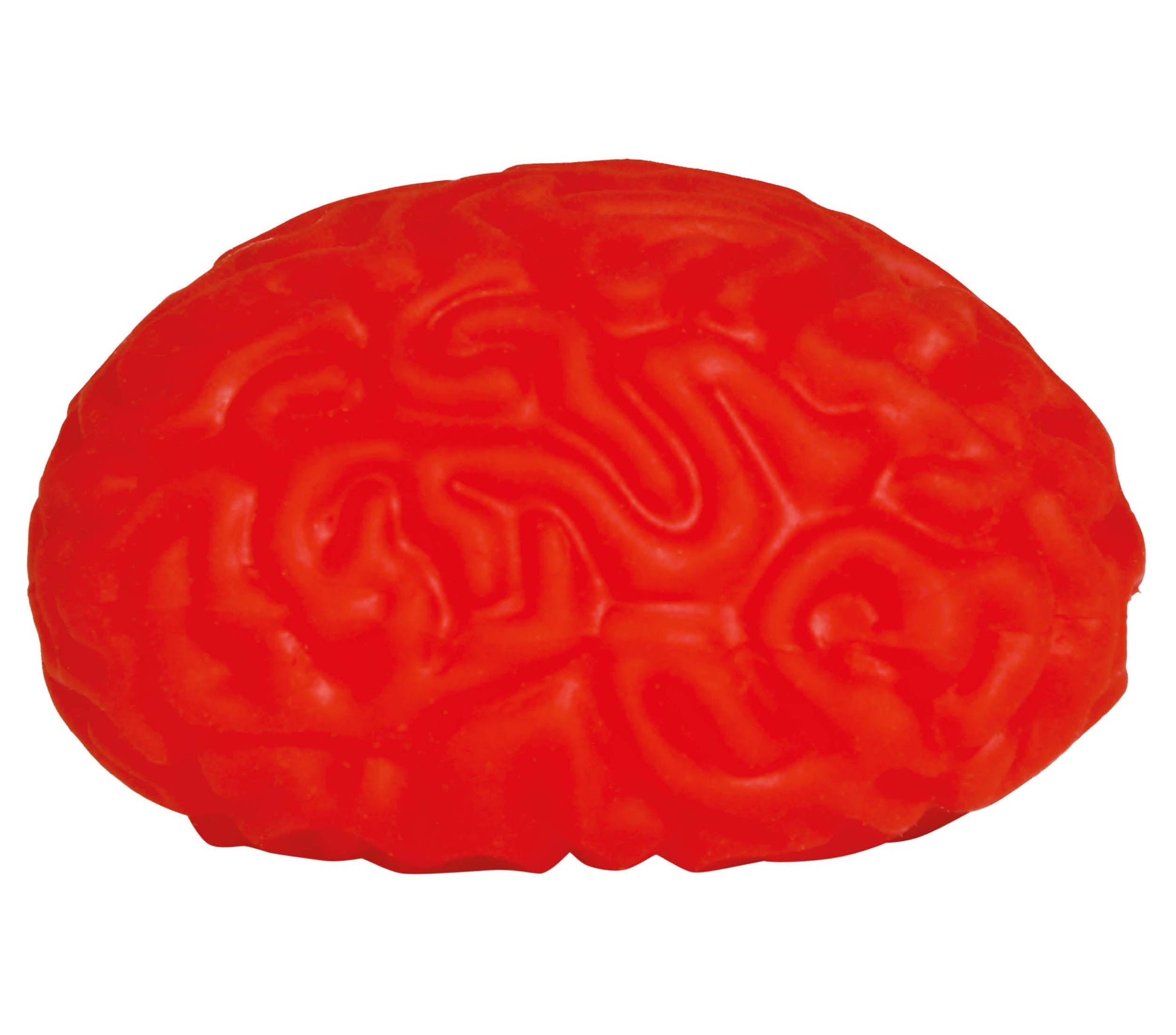 BOX 12 ELASTIC BRAINS, 8 CMS