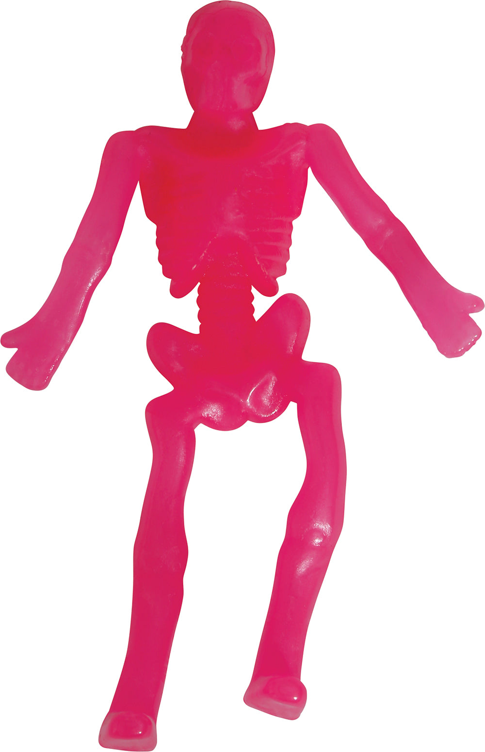BOX OF 24 STRETCH SKELETONS 10 CM