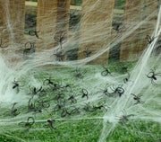 BAG: 50 SPIDERS