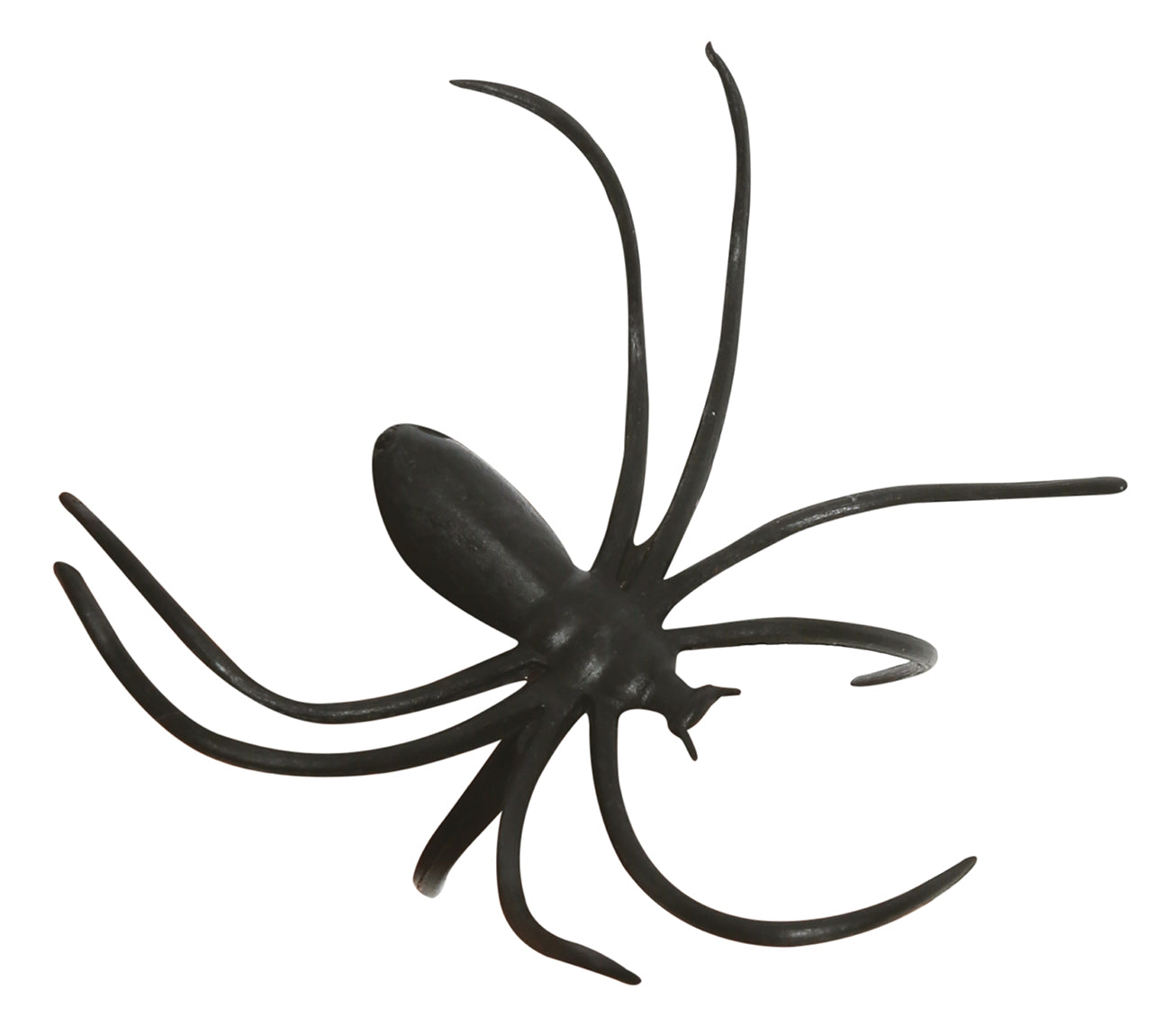BAG: 50 SPIDERS