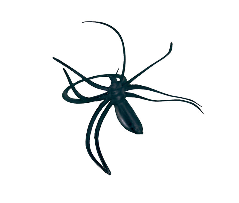 BAG: 50 SPIDERS
