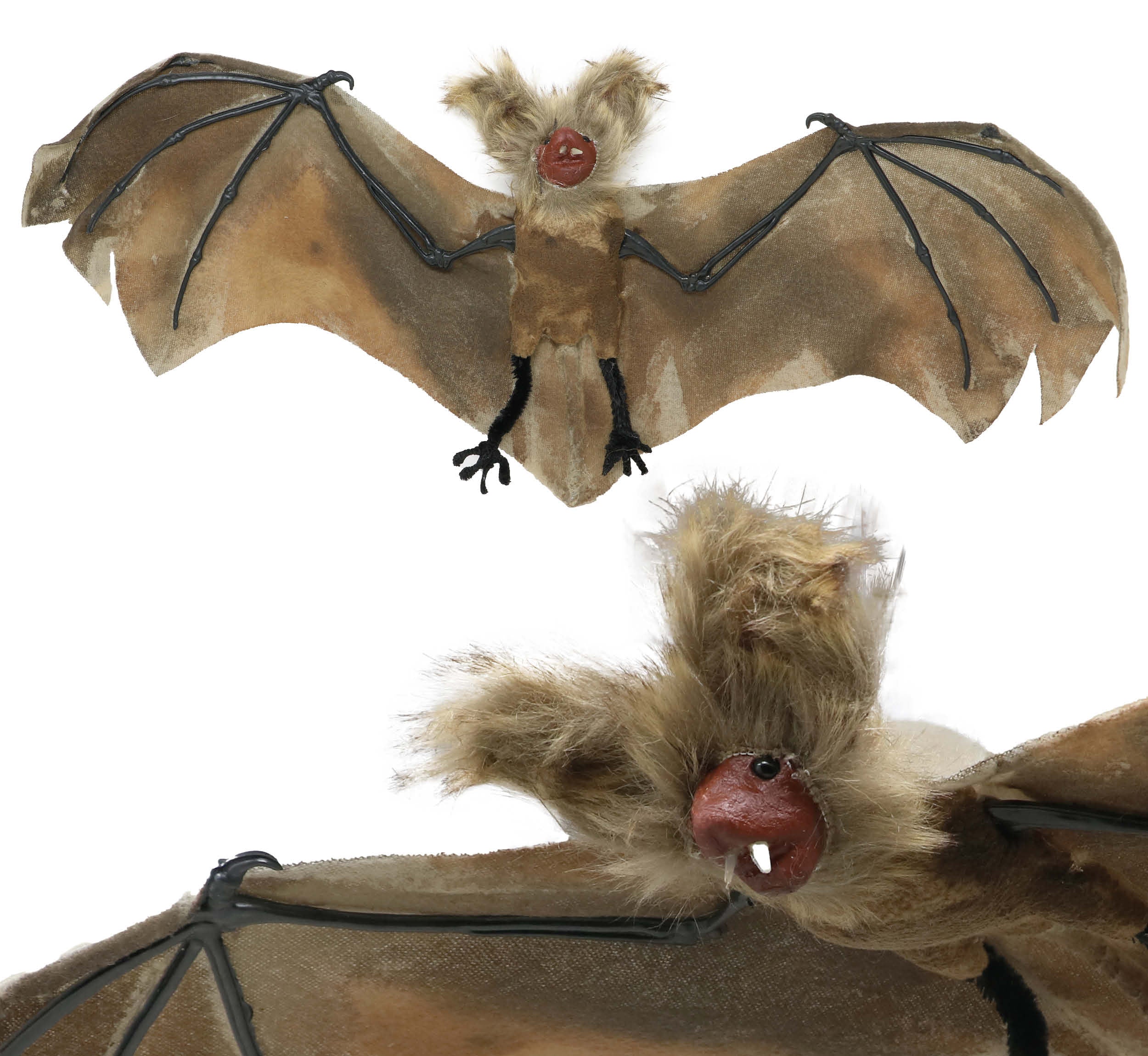 60 CM BAT