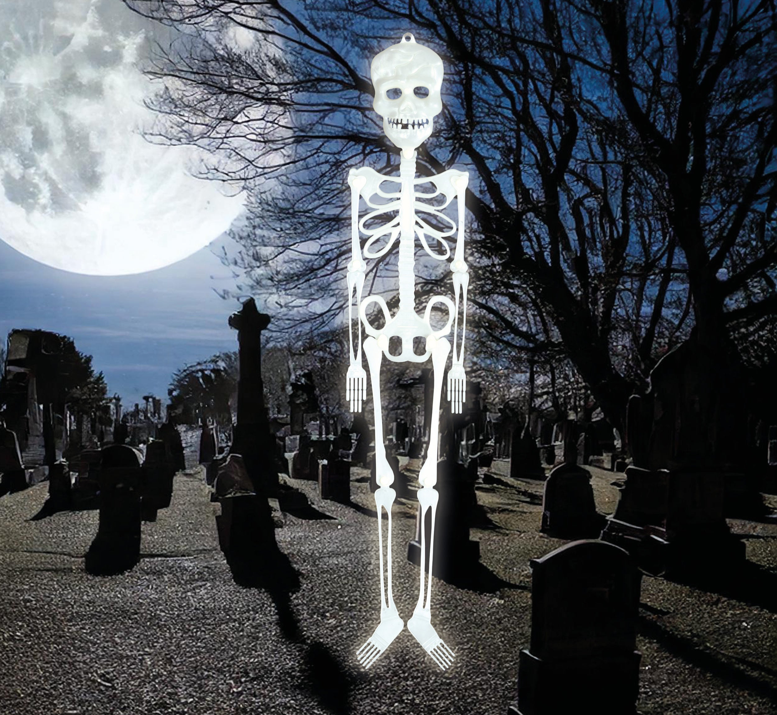 FLUORESCENT SKELETON 75 CM