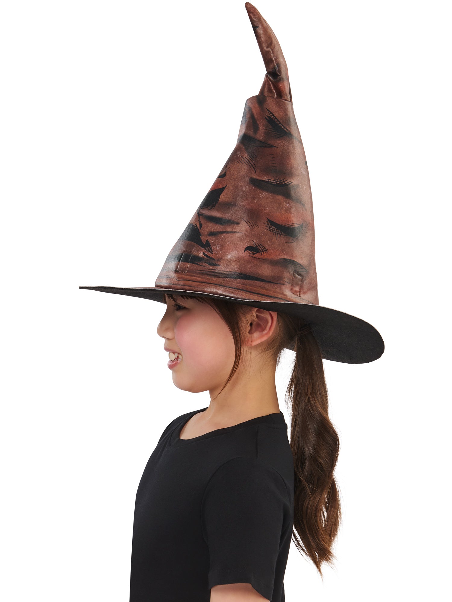 Interactive Sorting Hat 5