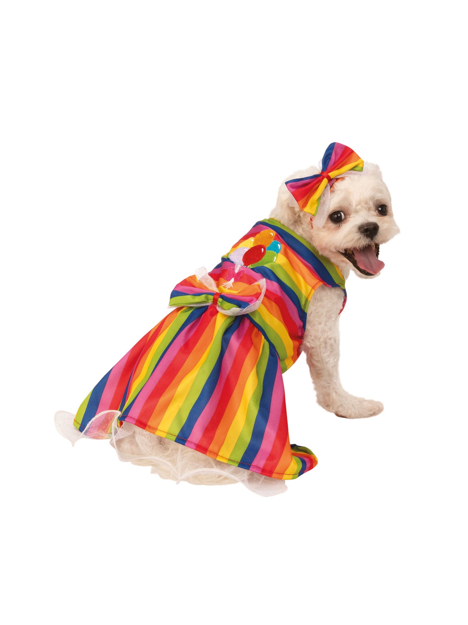Rainbow Party 1