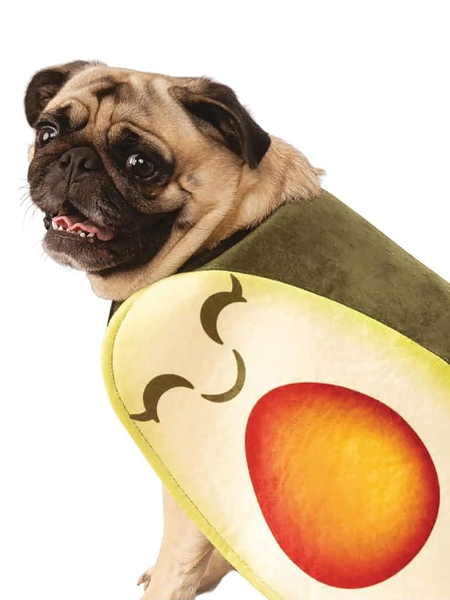 Avocado 2