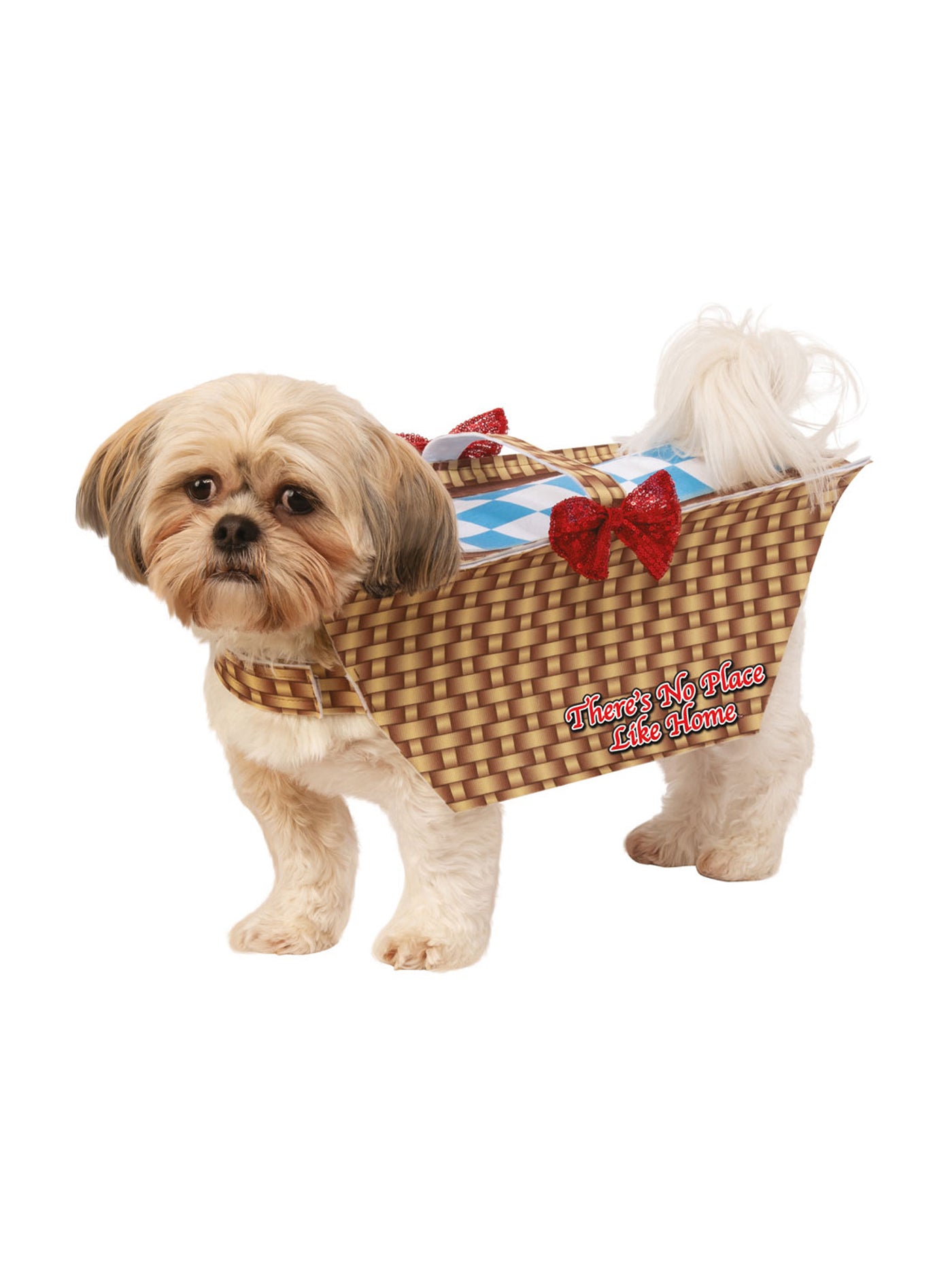 Toto 1