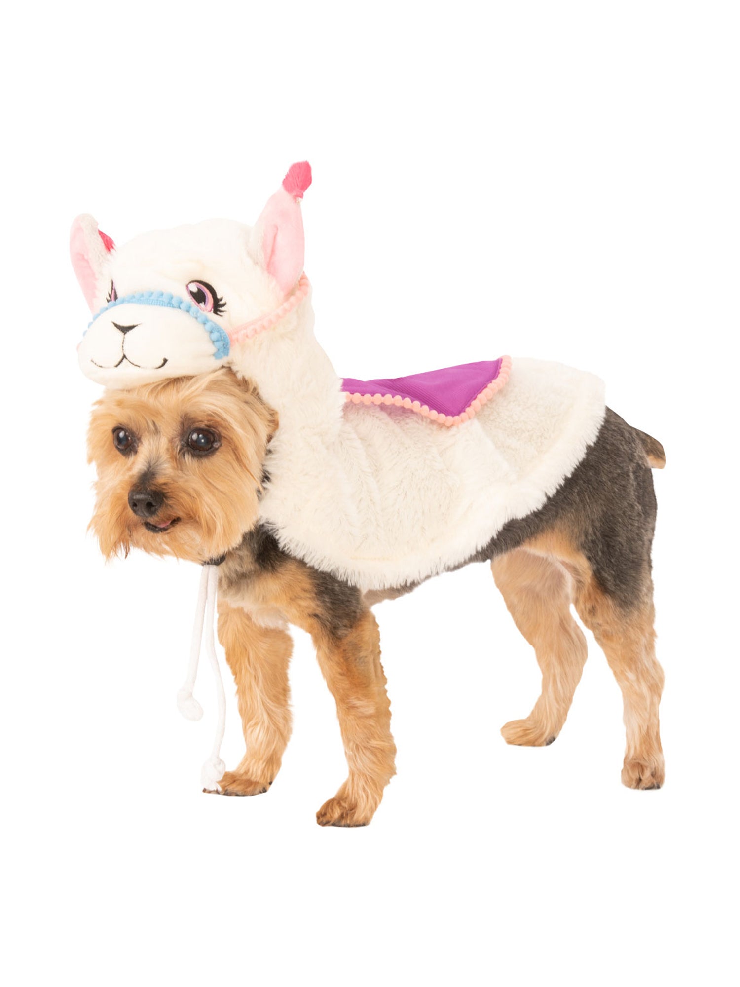 Llama 1
