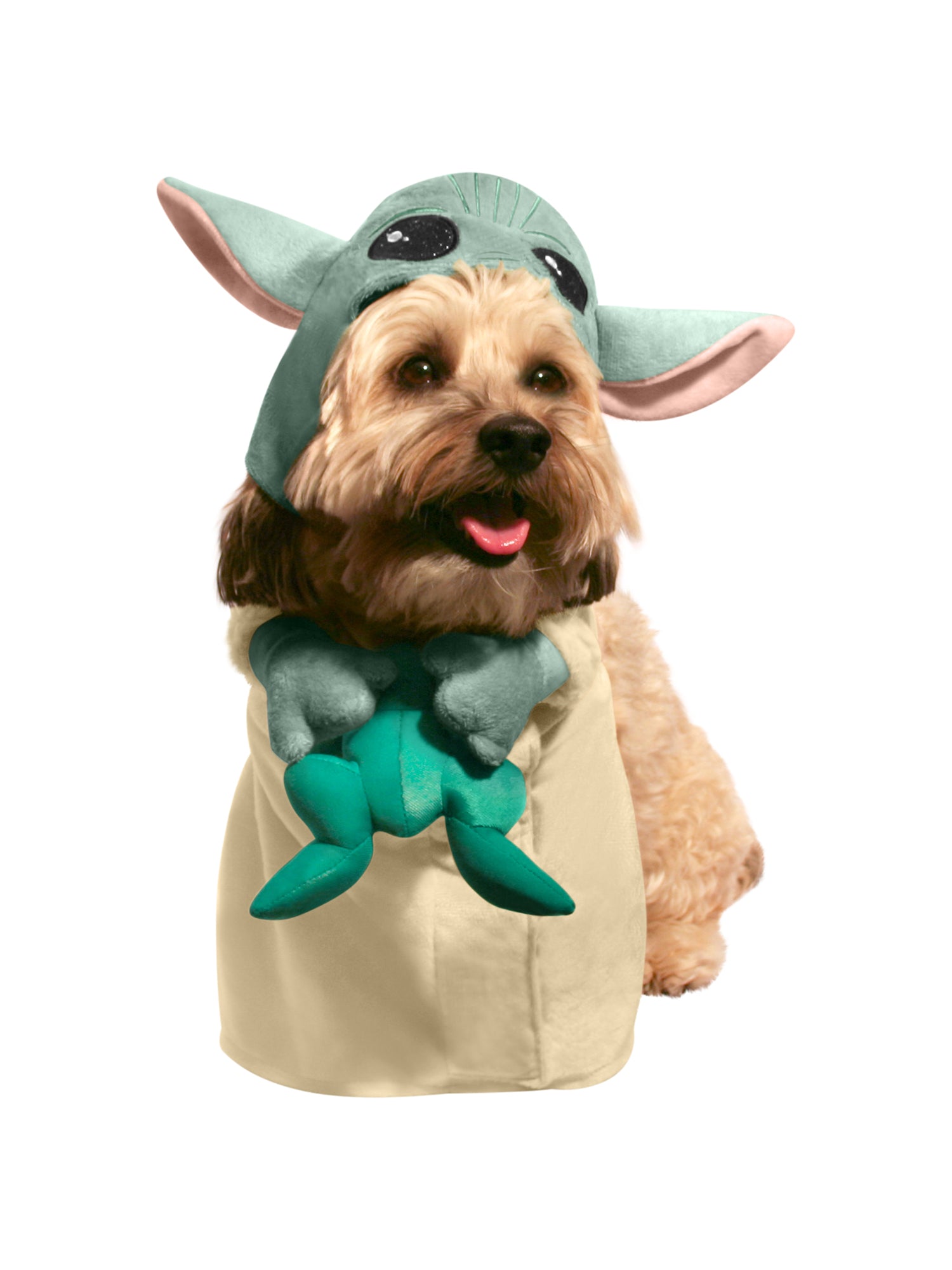 The Child Walking Pet Costume 1
