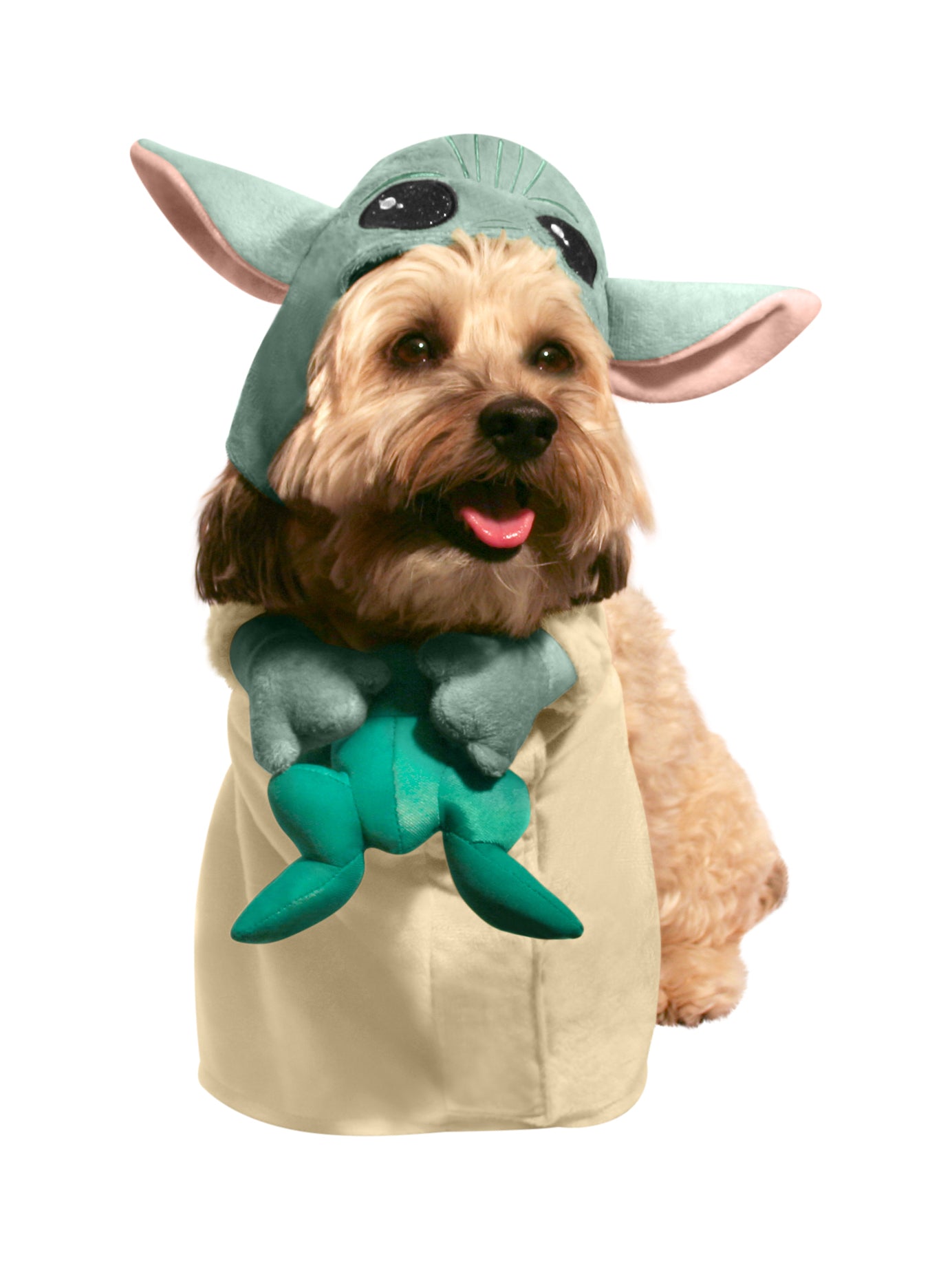 The Child Pet Costume With Frog 1