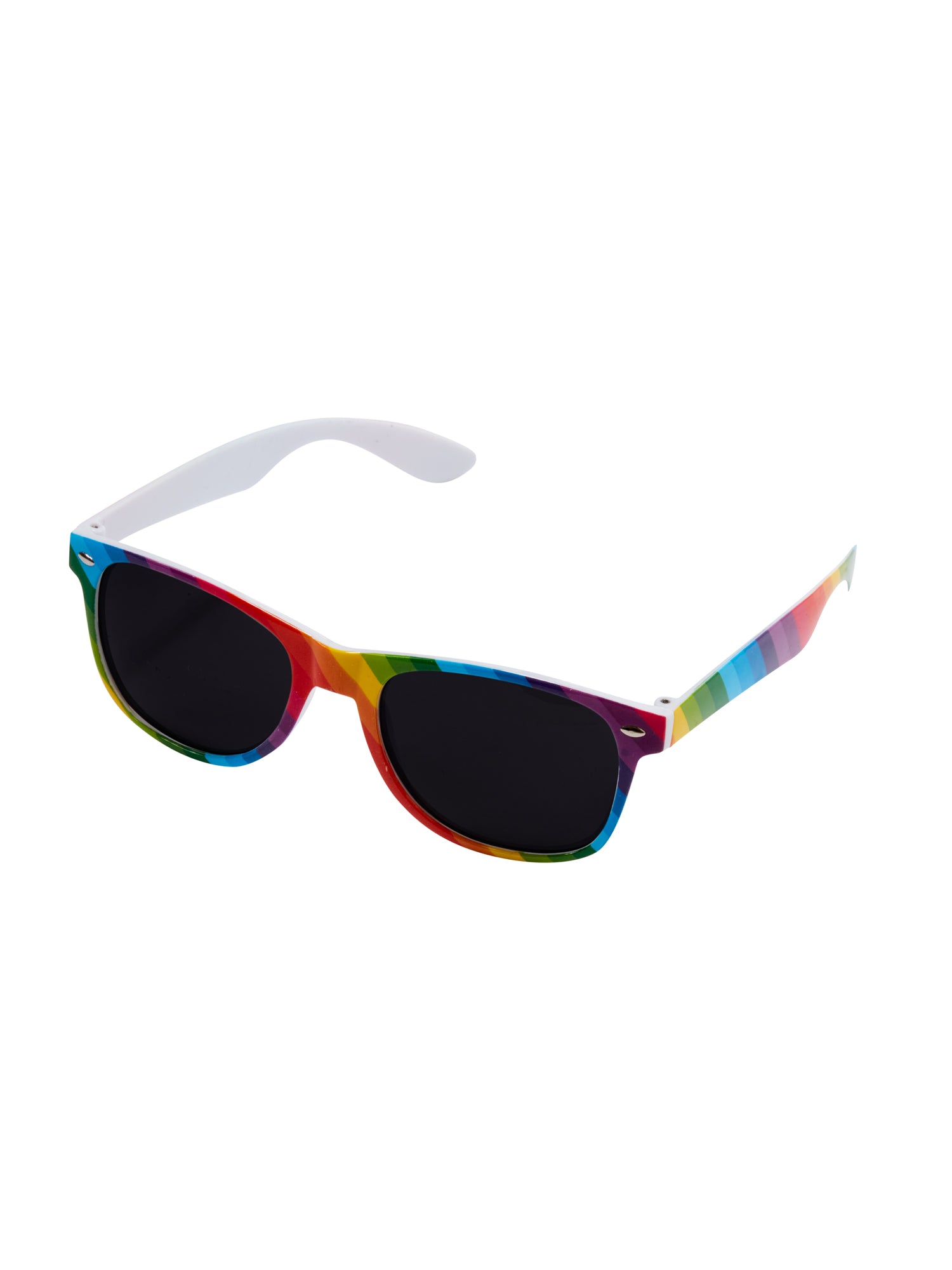 Rainbow Pride Sun Glasses 3
