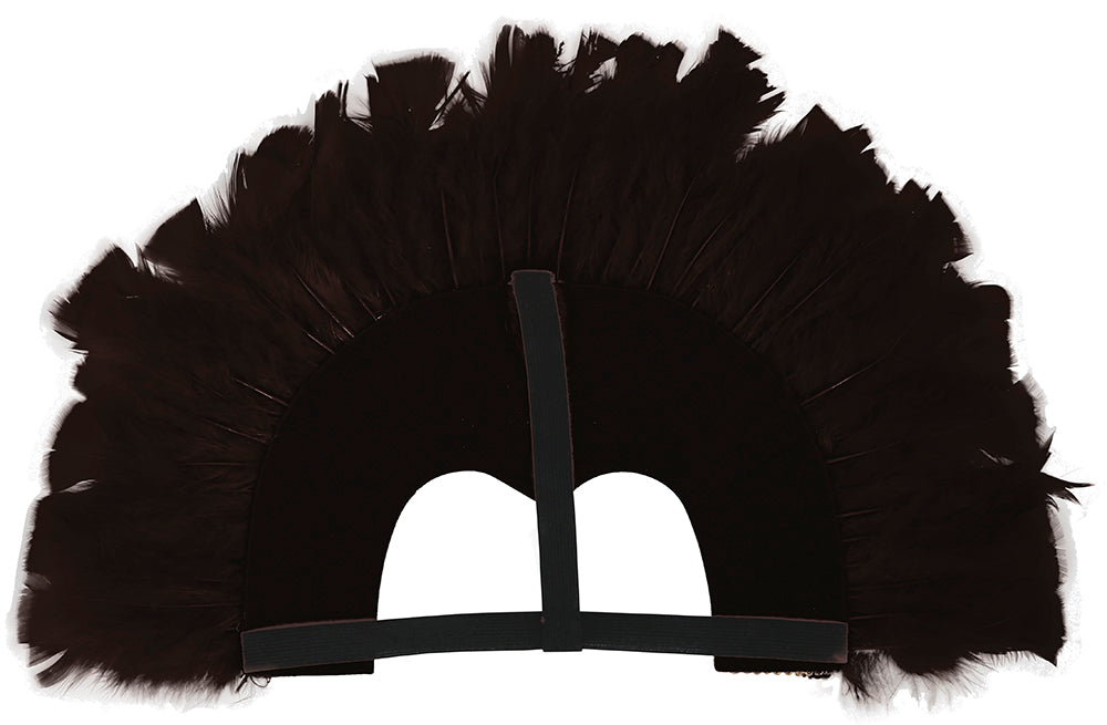 FEATHER HEADPIECE