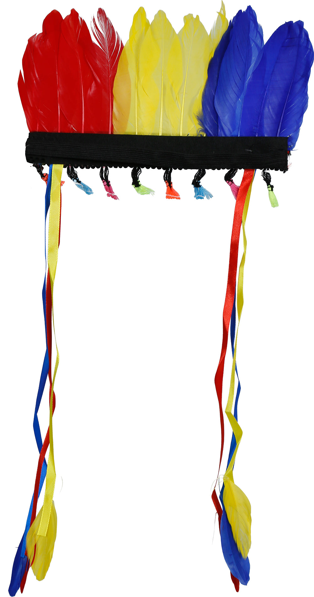 MULTICOLOR FEATHER PLUME