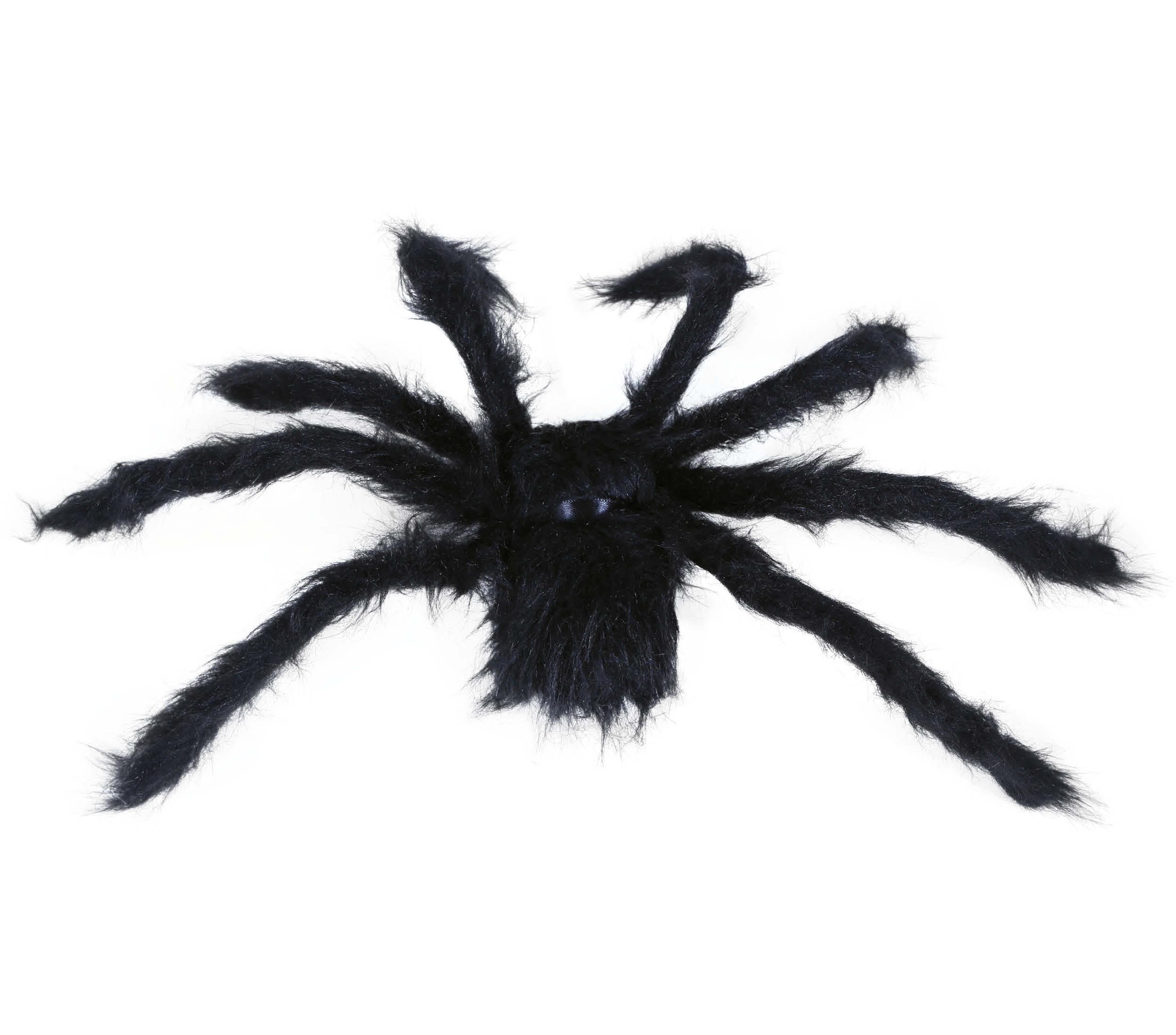 BLACK SPIDER, 50 CMS.