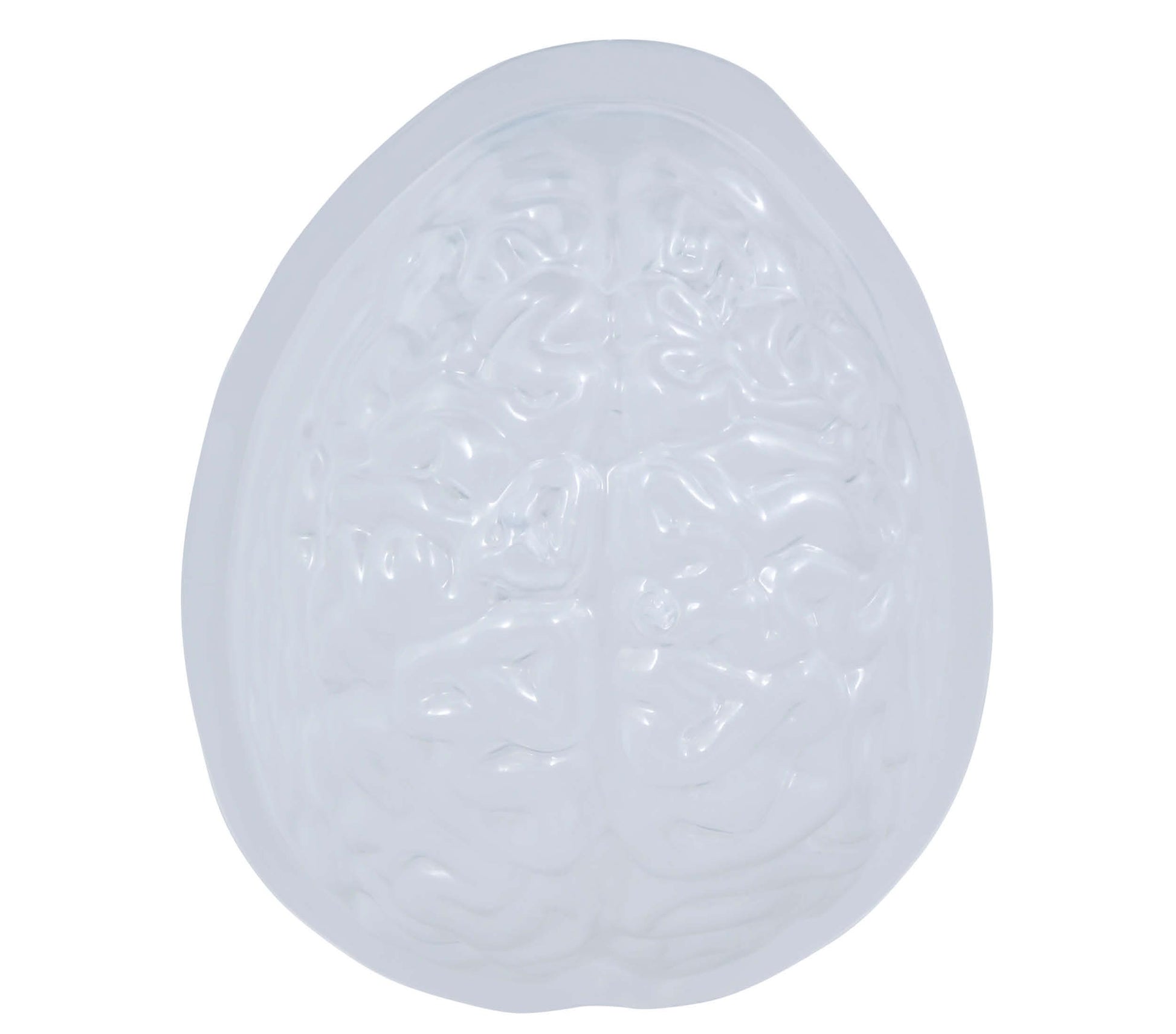BRAIN MOLD FOR GELATIN, 22X18 CMS.