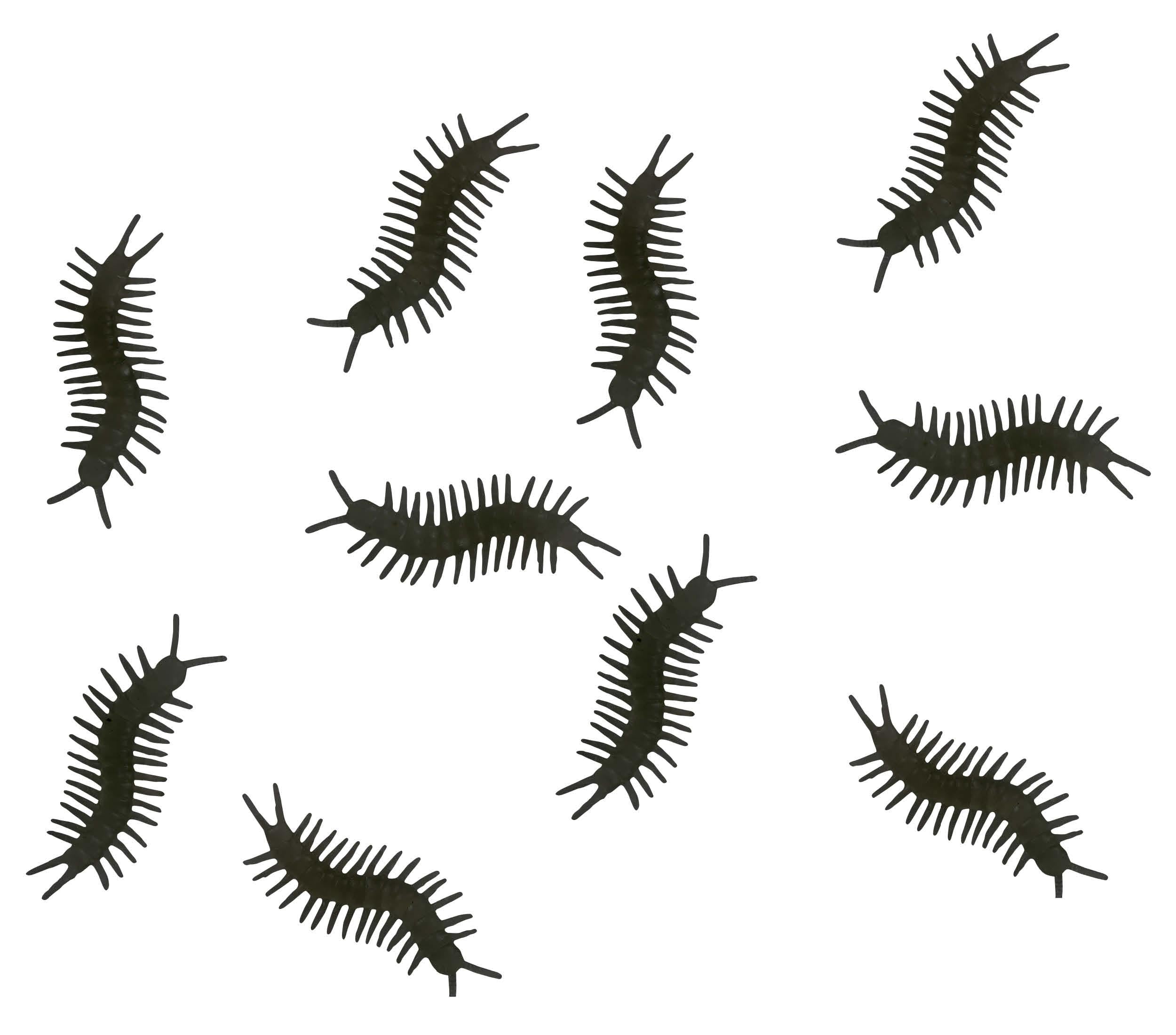 BAG : 10 CENTIPEDES 10 CM
