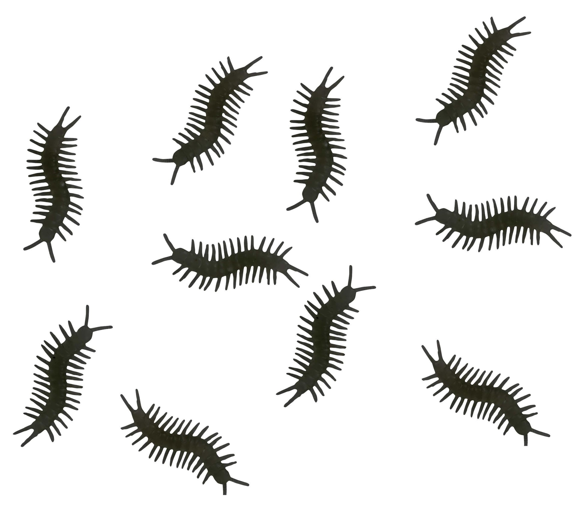 BAG : 10 CENTIPEDES 10 CM