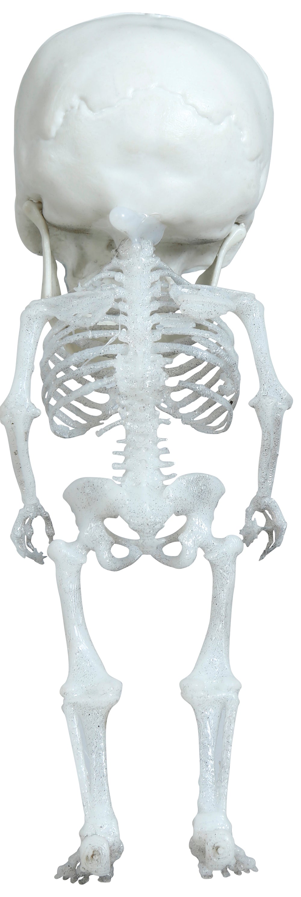 HANGING BIG HEAD SKELETON 15 CM
