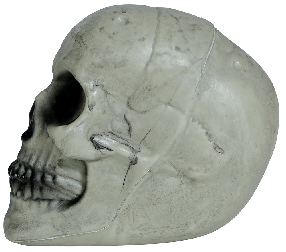 SKULL 20 CMS