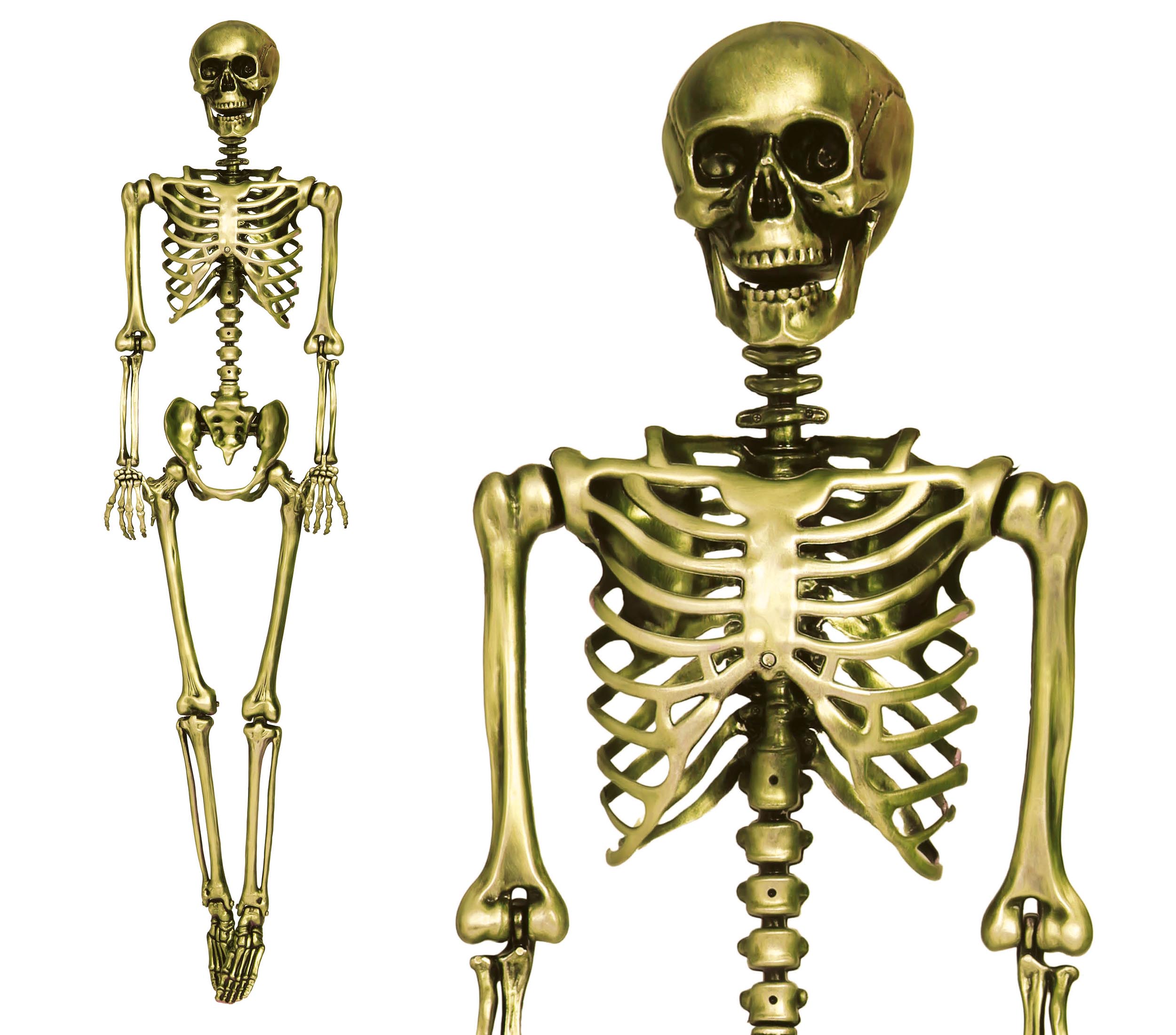 SKELETON 160 CM