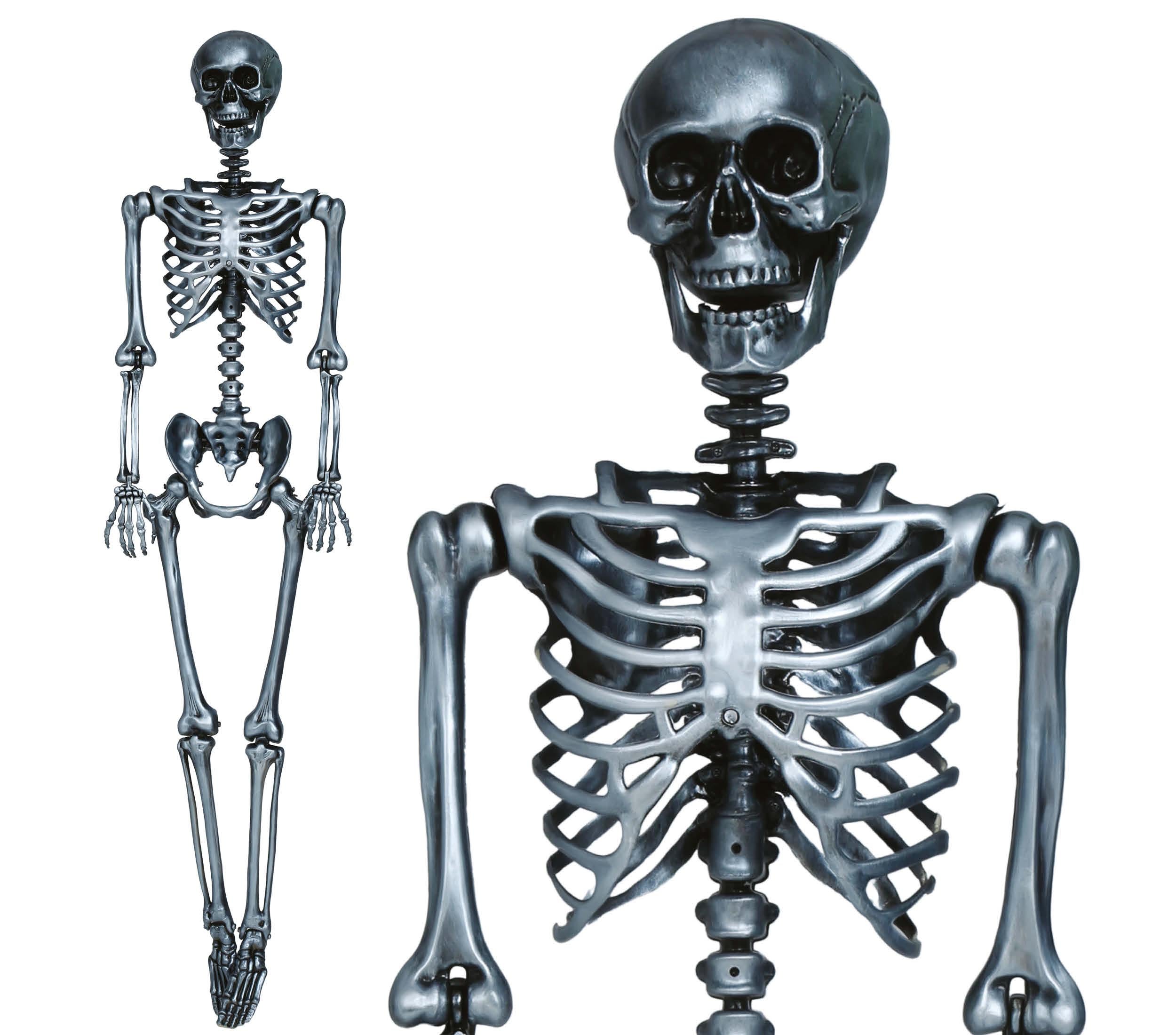 SKELETON 160 CM