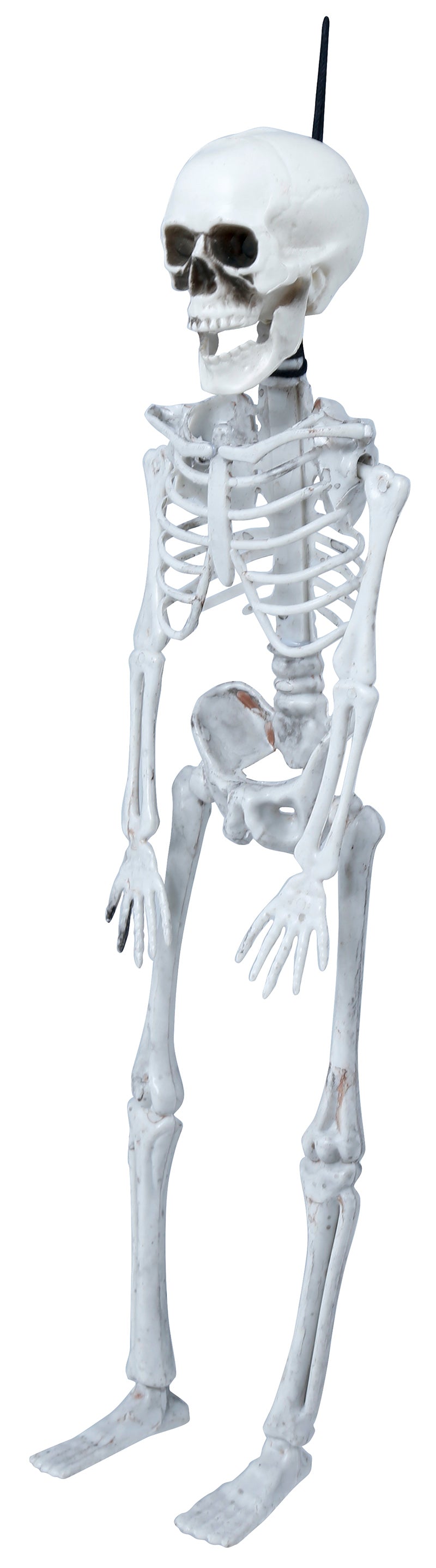 SKELETON 40 CM