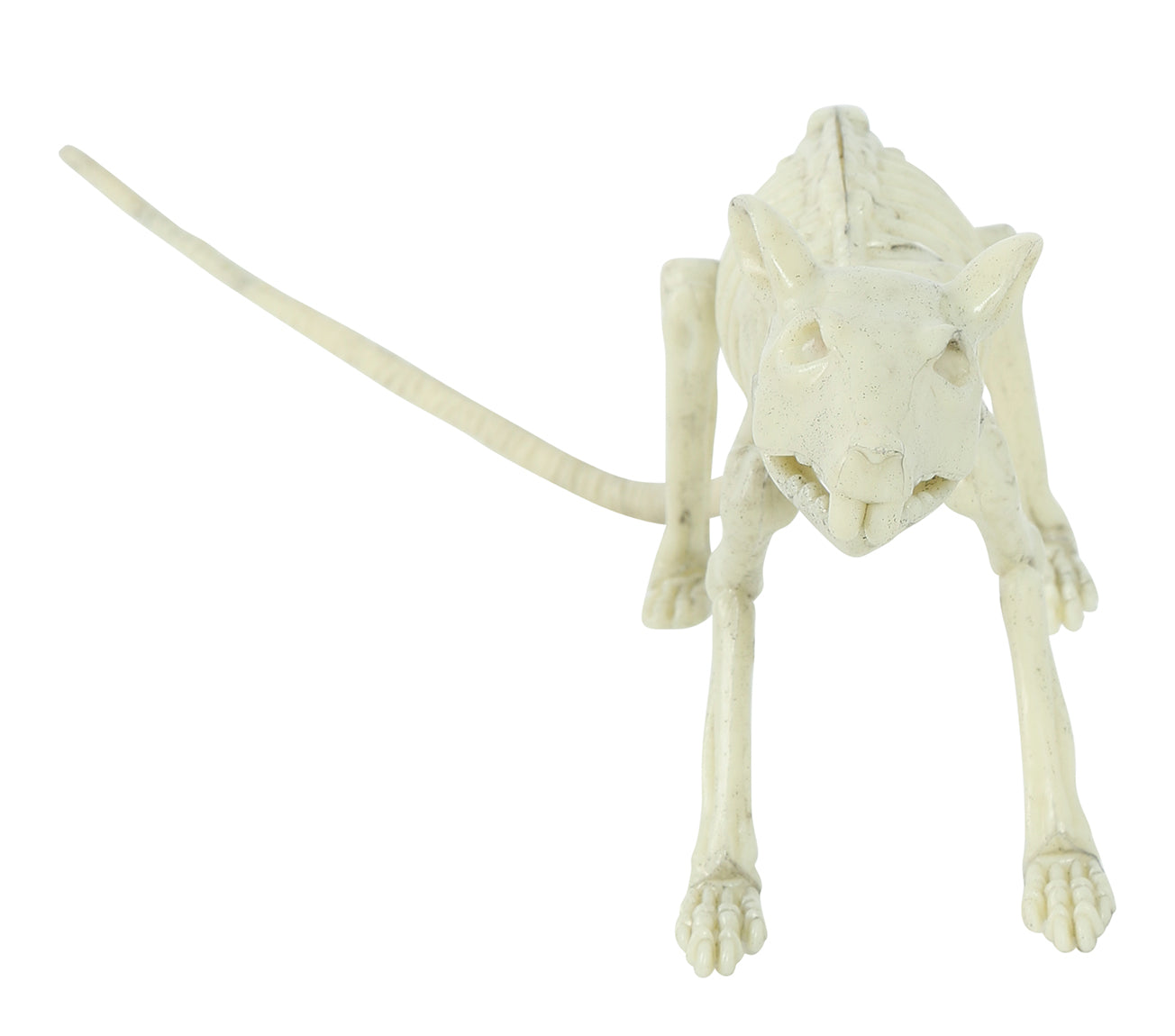 RAT SKELETON 20 CM
