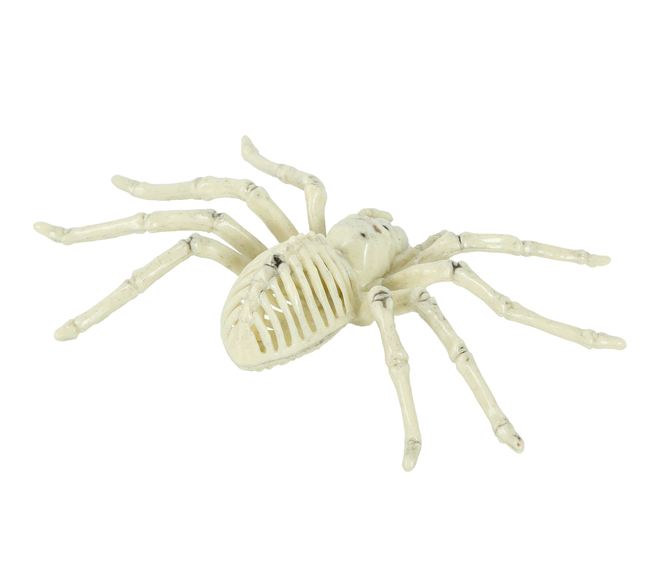 SPIDER SKELETON 24 CM