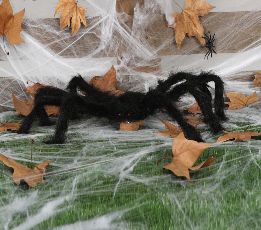 BLACK  SPIDER 70 CM